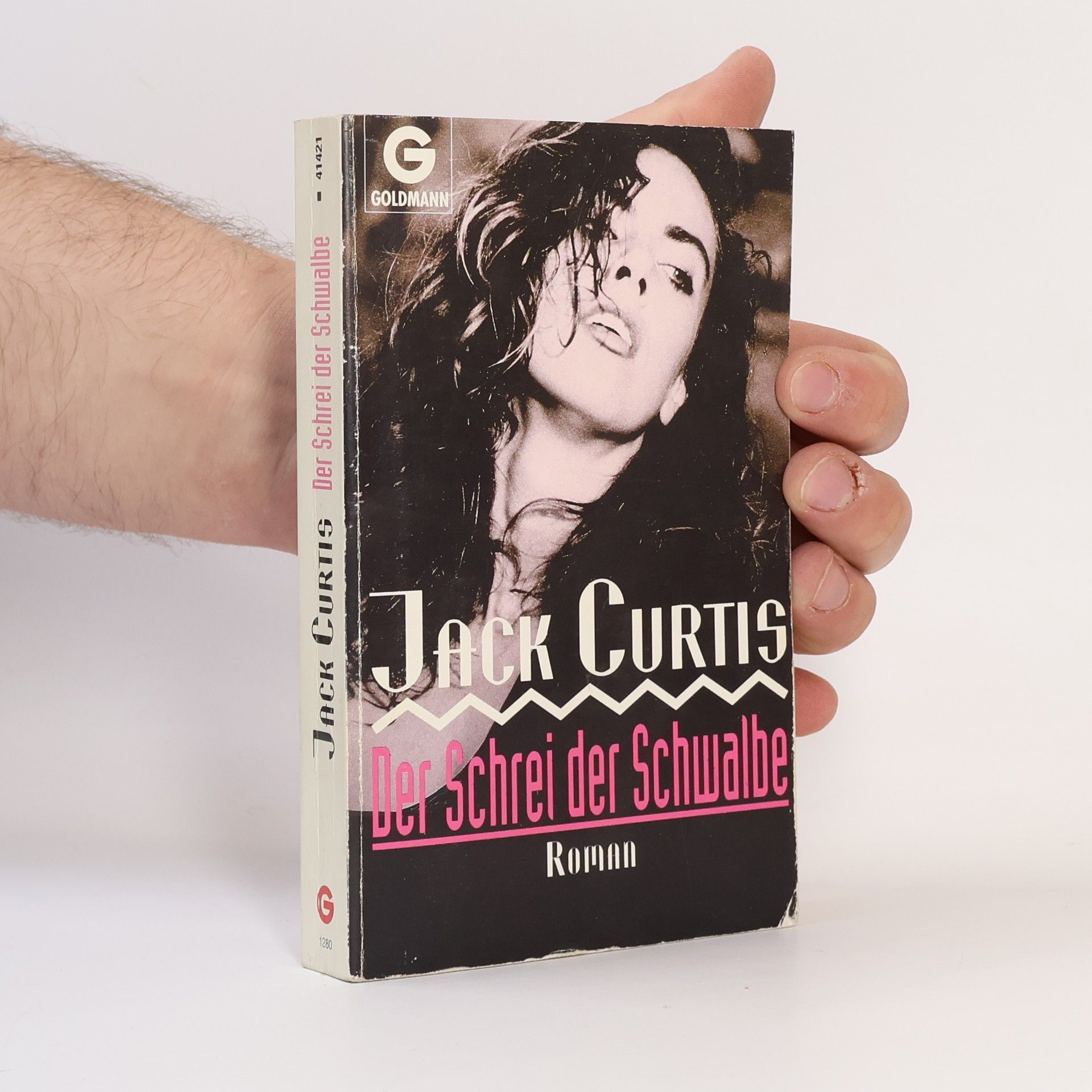 Jack Curtis Der Schrei der Schwalbe