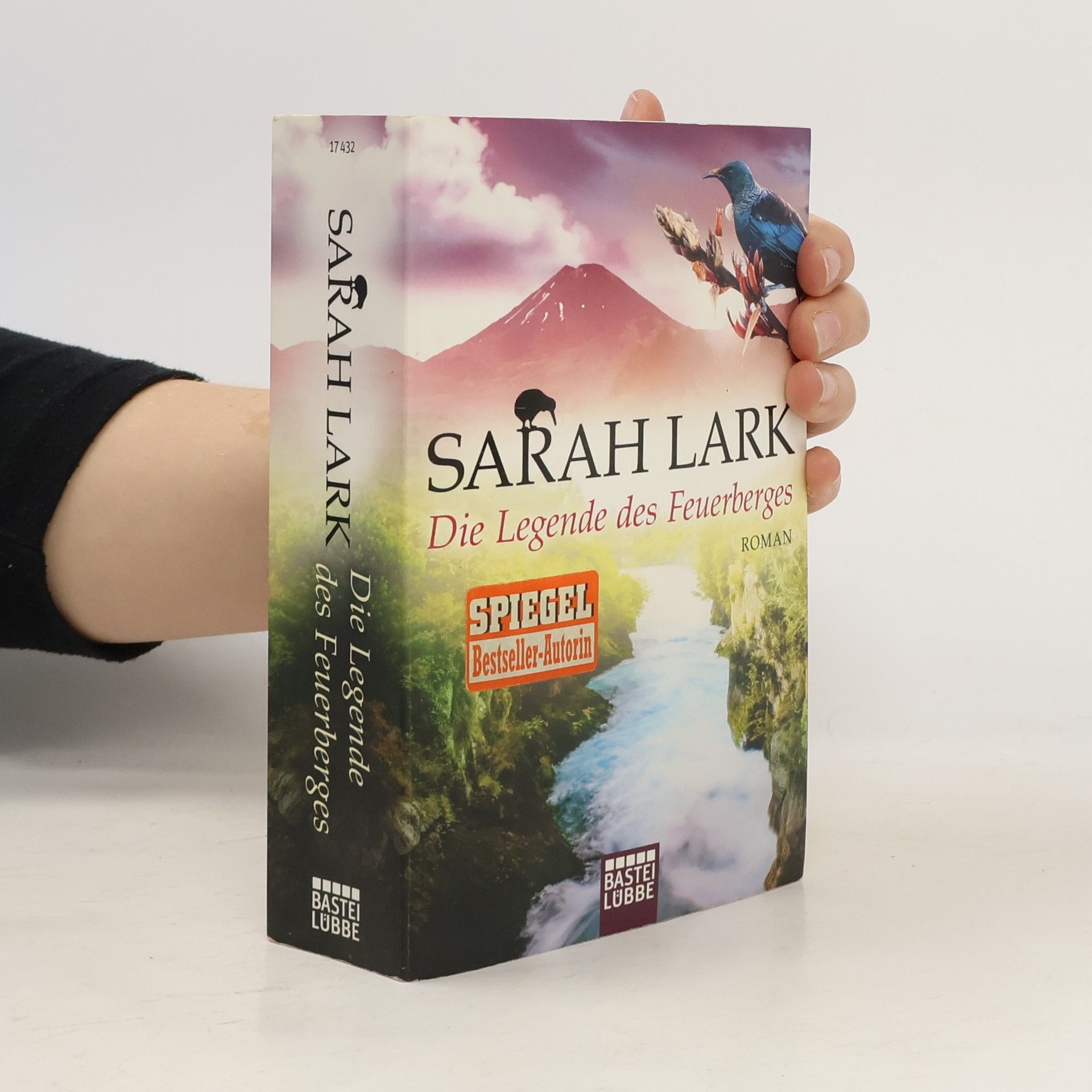 Christiane Gohl Die Legende des Feuerberges