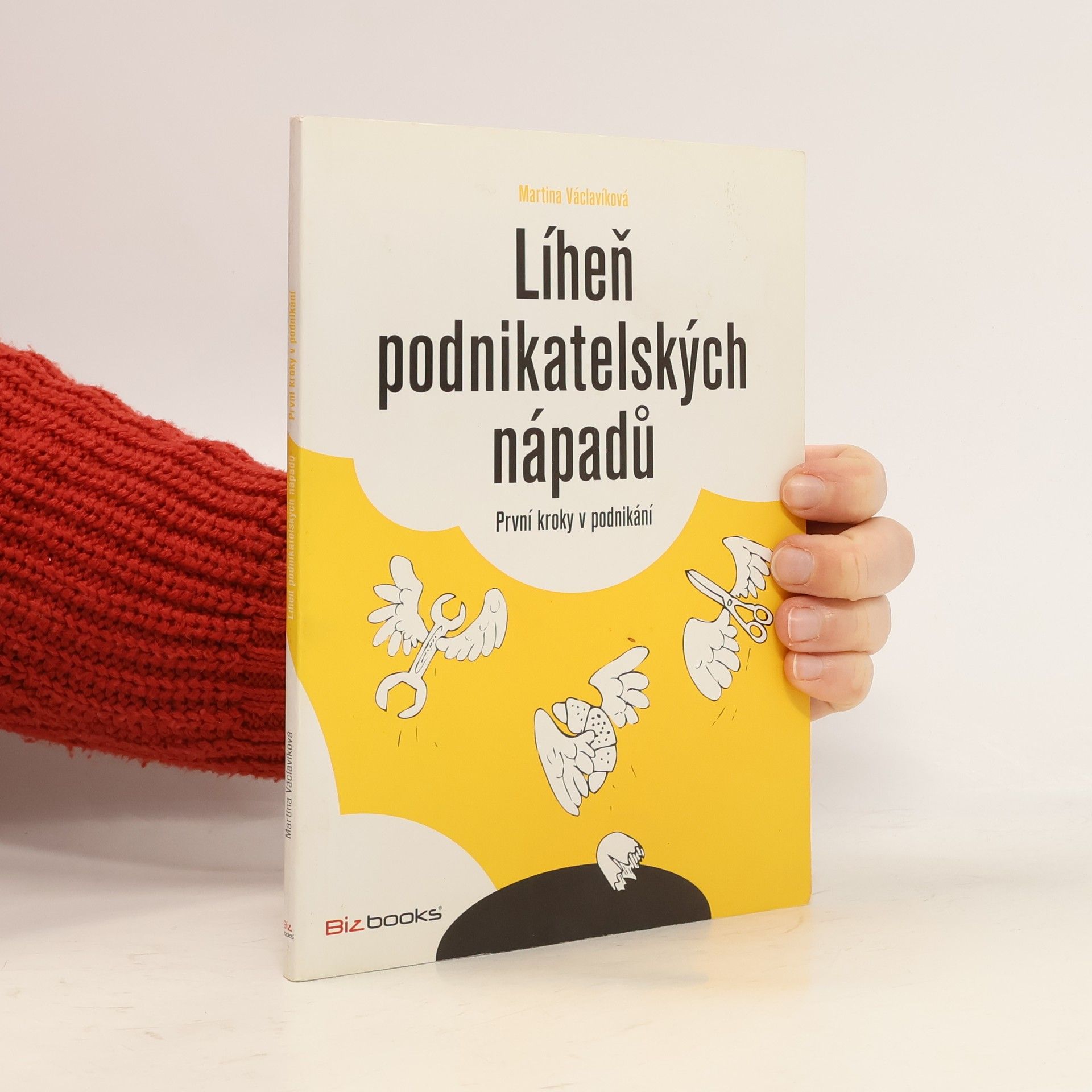 Martina Václavíková Líheň podnikatelských nápadů