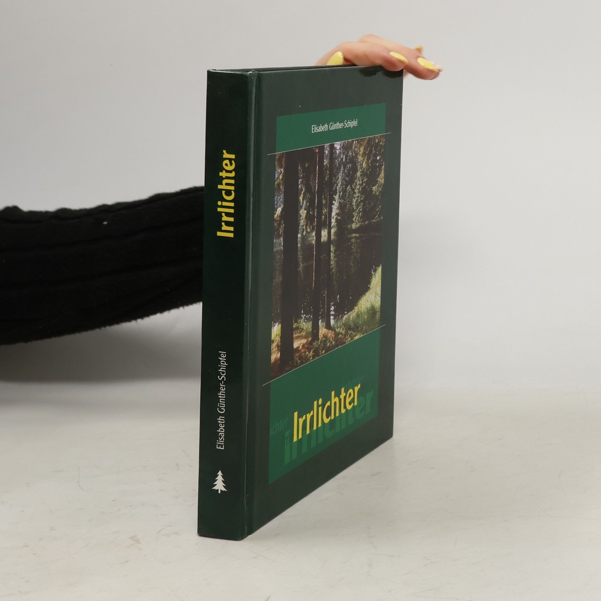 Elisabeth Günther-Schipfel Irrlichter