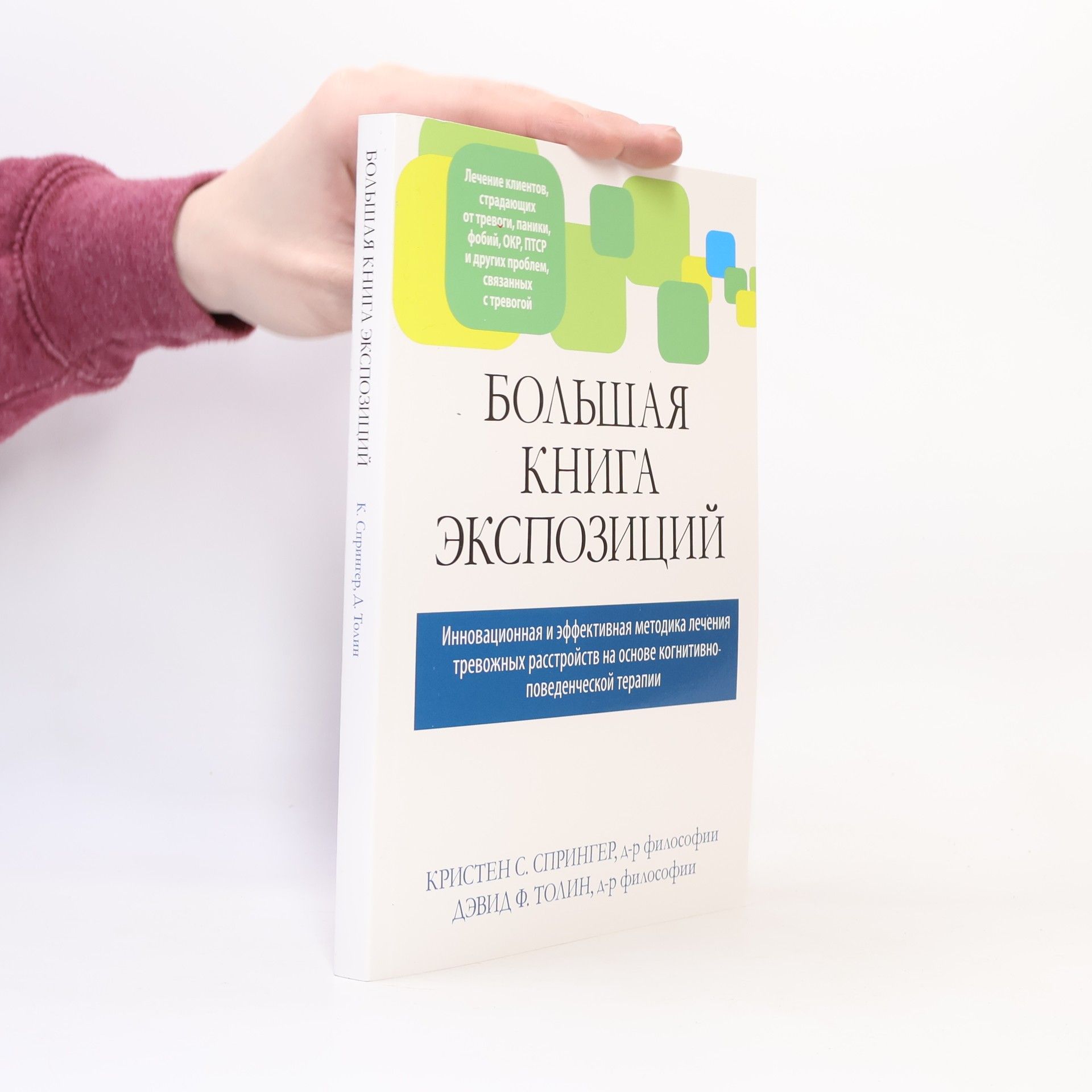 Кристен С. Спрингер Большая книга экспозиций