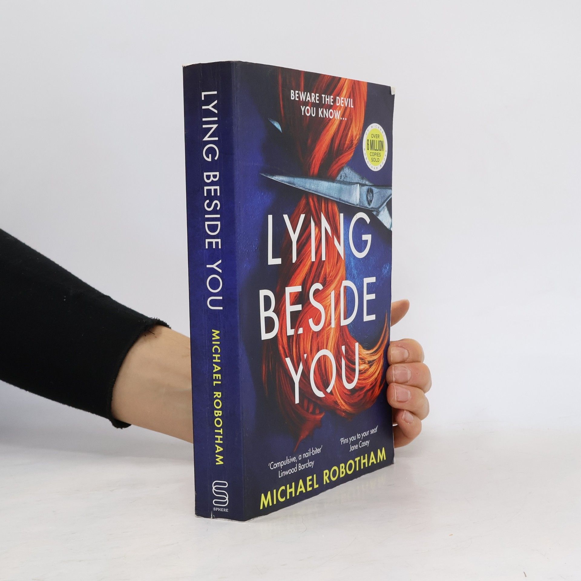 Michael Robotham Lying Beside You