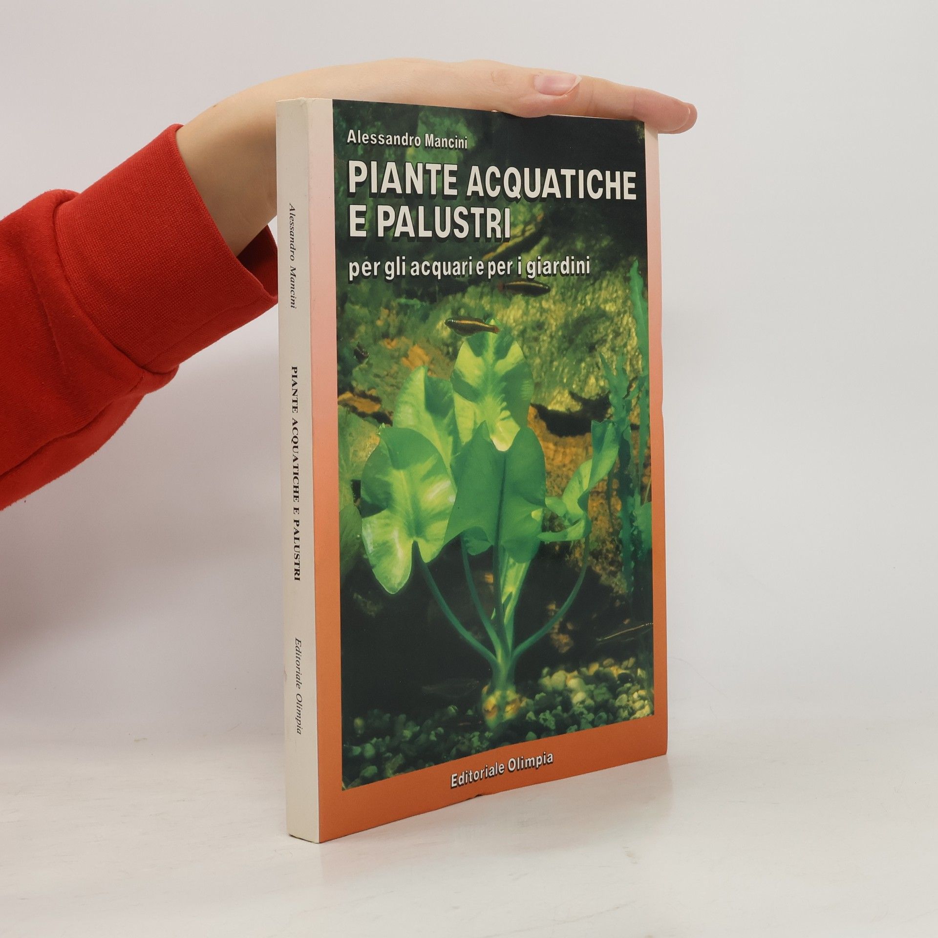 Alessandro Mancini Piante acquatiche e palustri