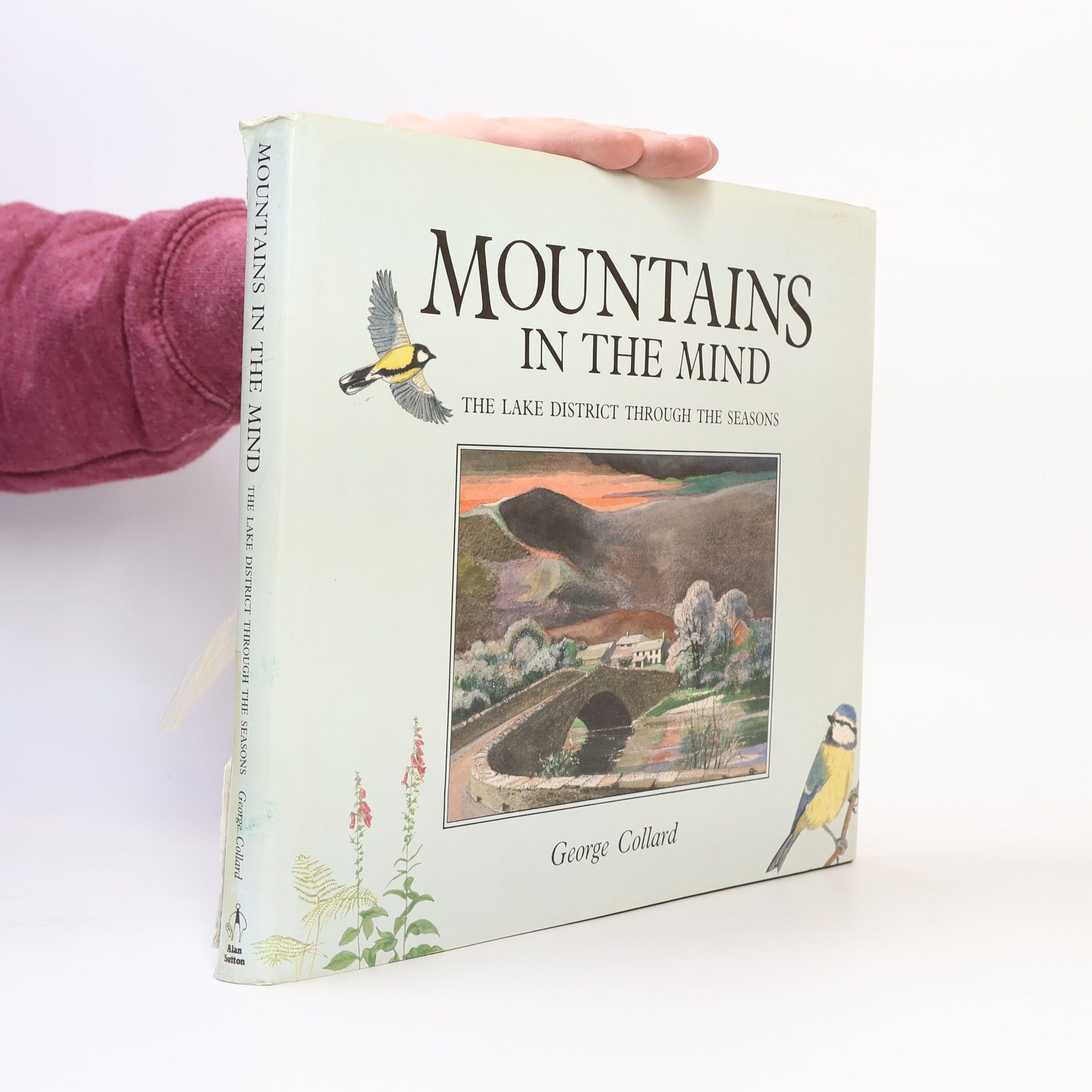 George Collard Mountains in the Mind