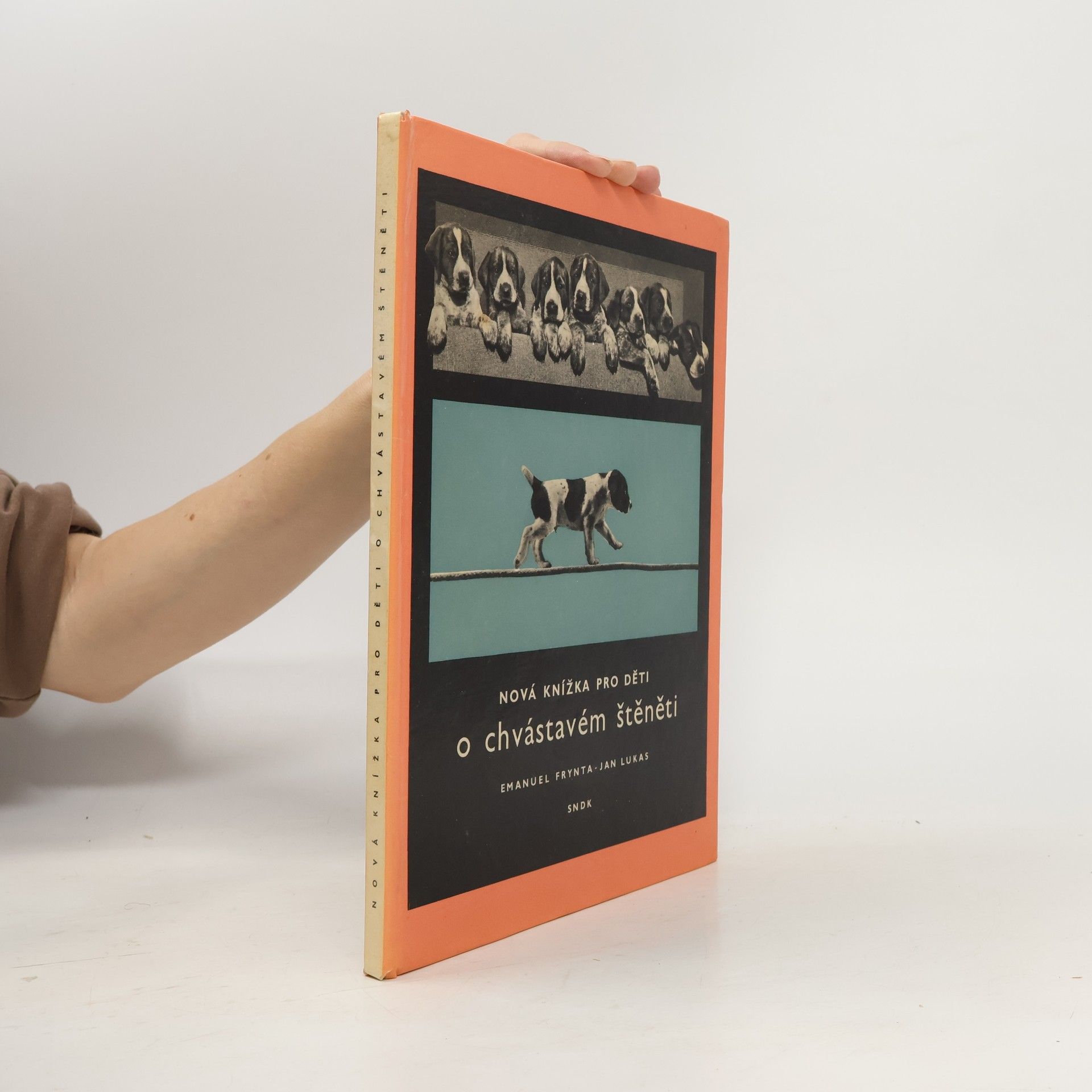 Nová knížka pro děti o chvástavém štěněti