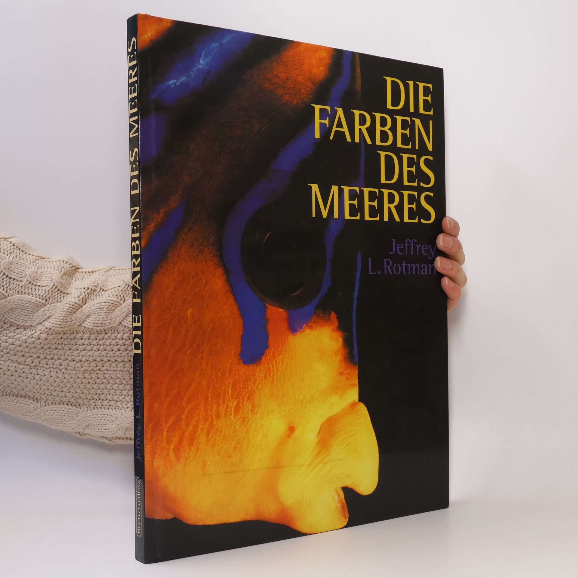 Jeffrey L. Rotman Die Farben des Meeres