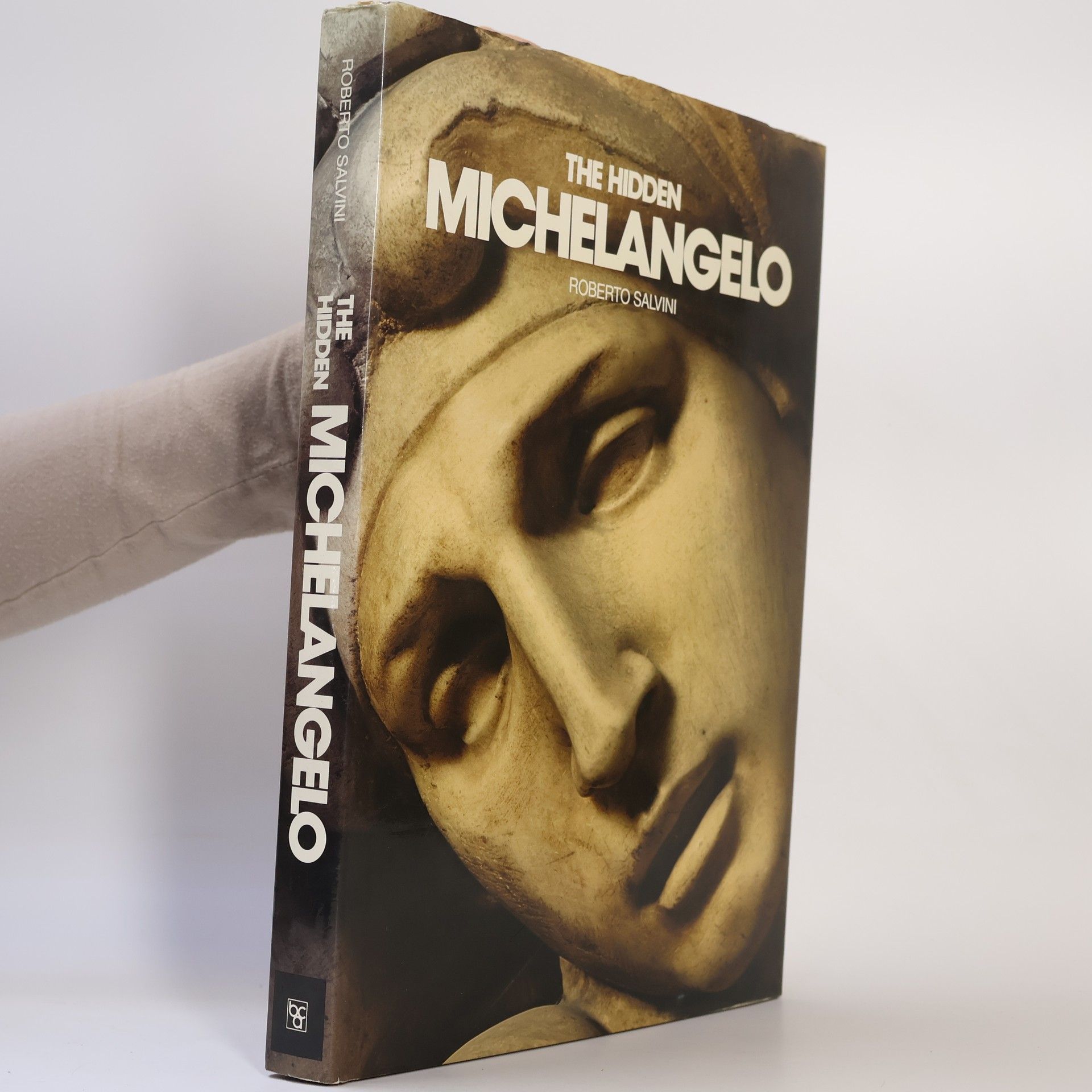 Roberto Salvini Michelangelo