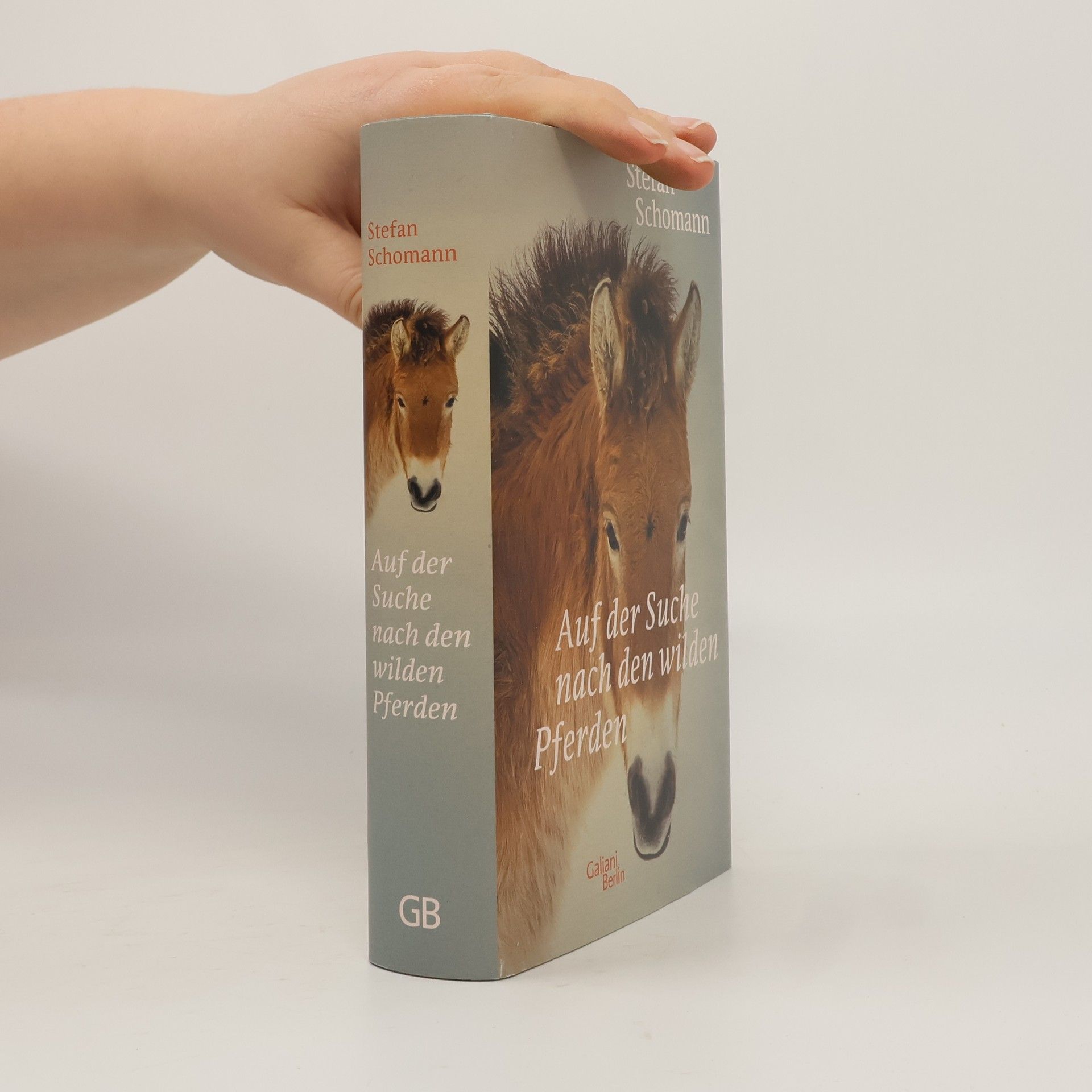 Auf der Suche nach den wilden Pferden