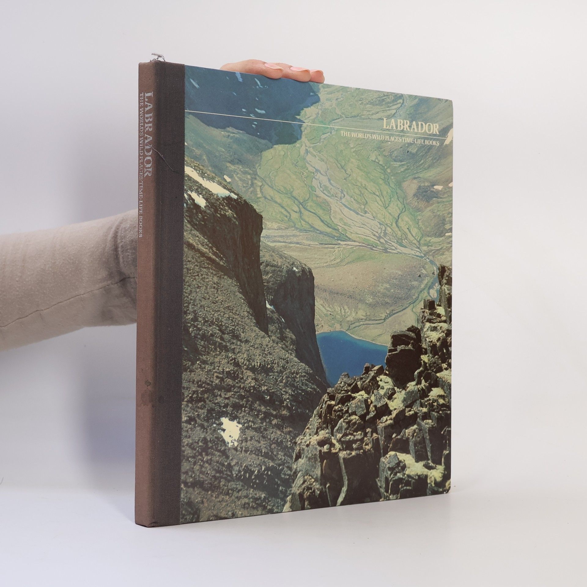 R. J. Stewart Labrador