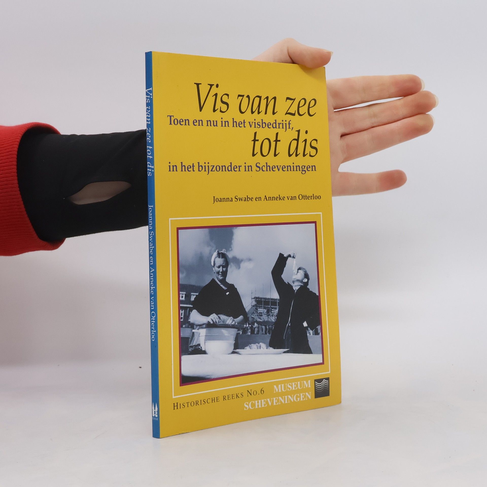 Joanna Michelle Swabe Historische reeks - 6: Vis van zee tot dis