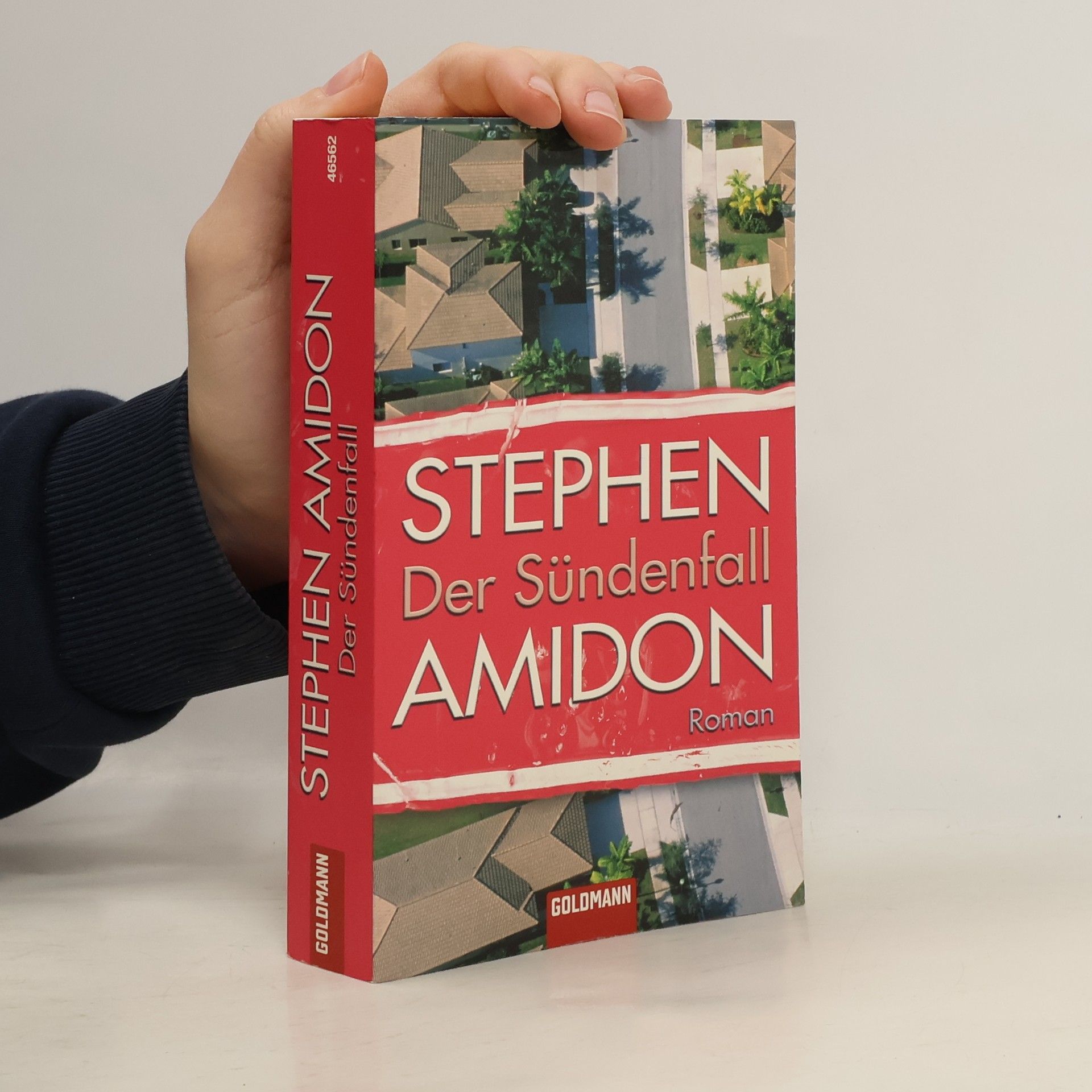 Stephen Amidon Der Sündenfall