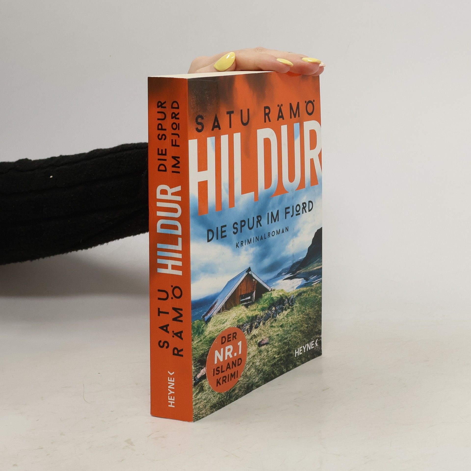 Satu Rämö Hildur. Die Spur im Fjord