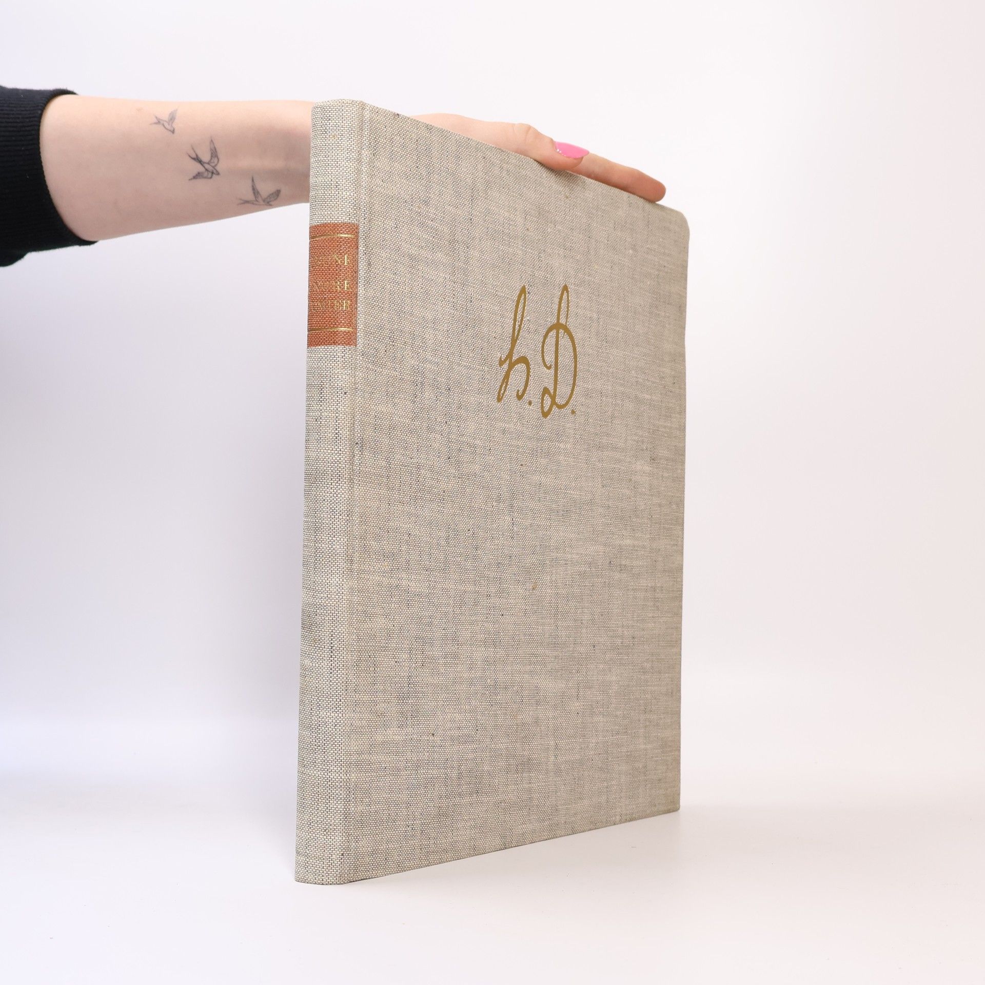 Robert Lejeune Honoré Daumier