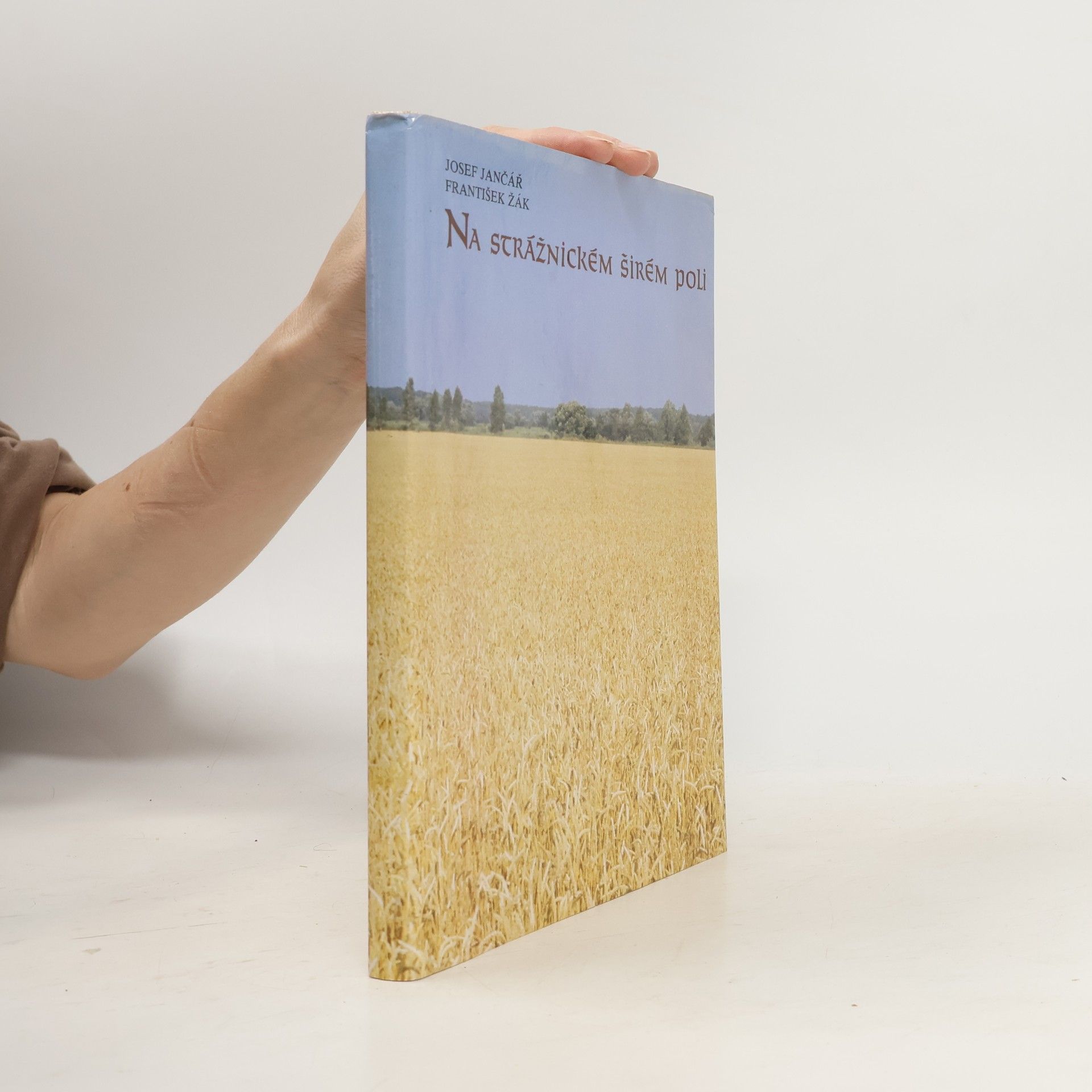 Na strážnickém širém poli