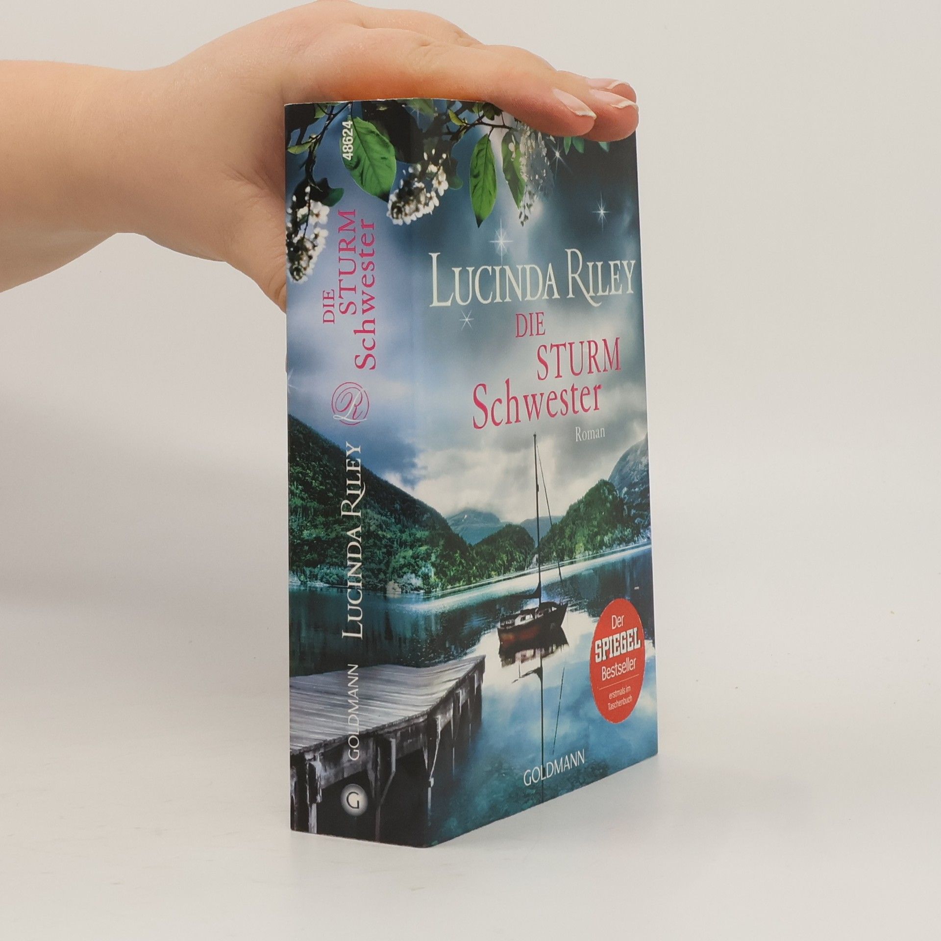 Lucinda Riley Die Sturmschwester