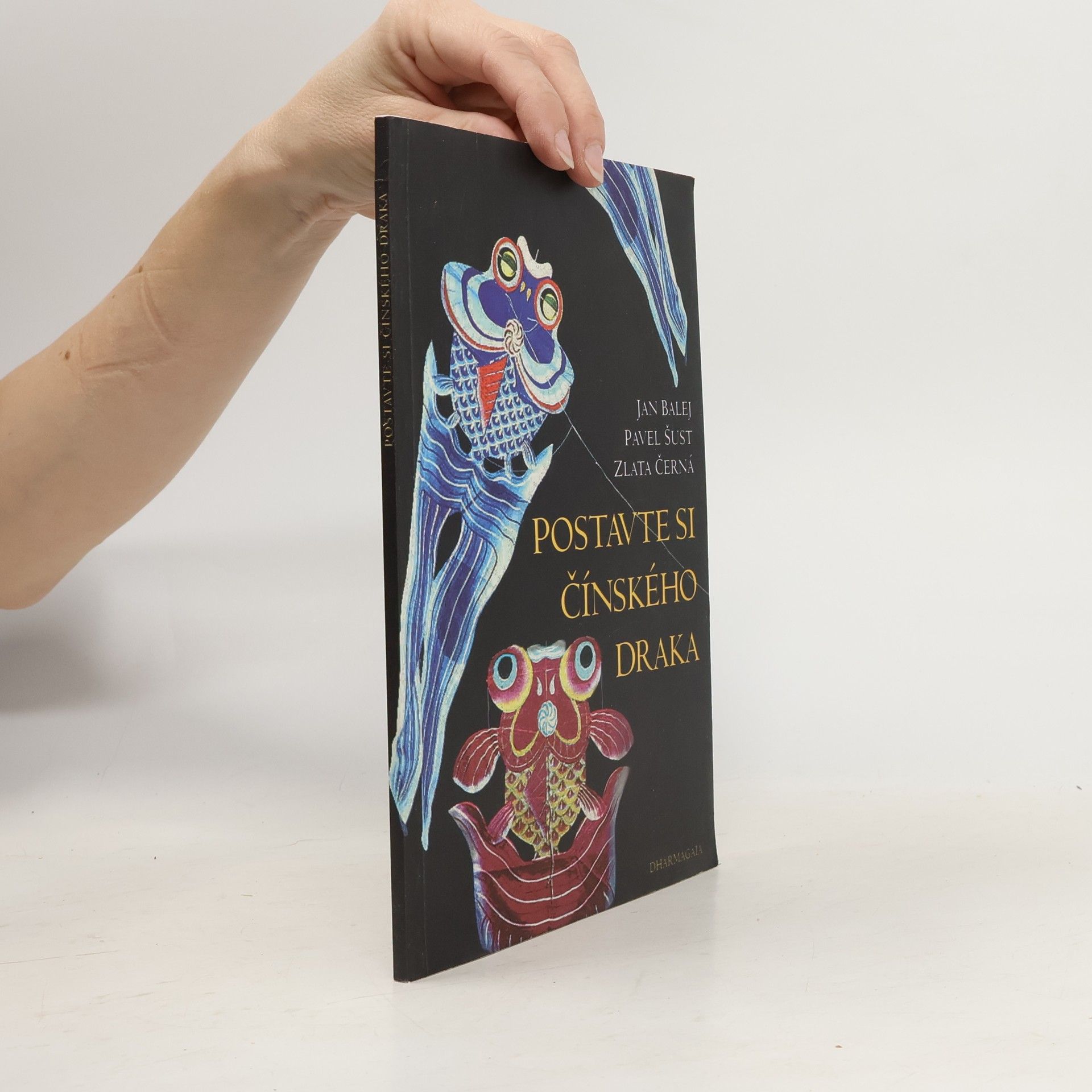 Jan Balej Postavte si čínského draka