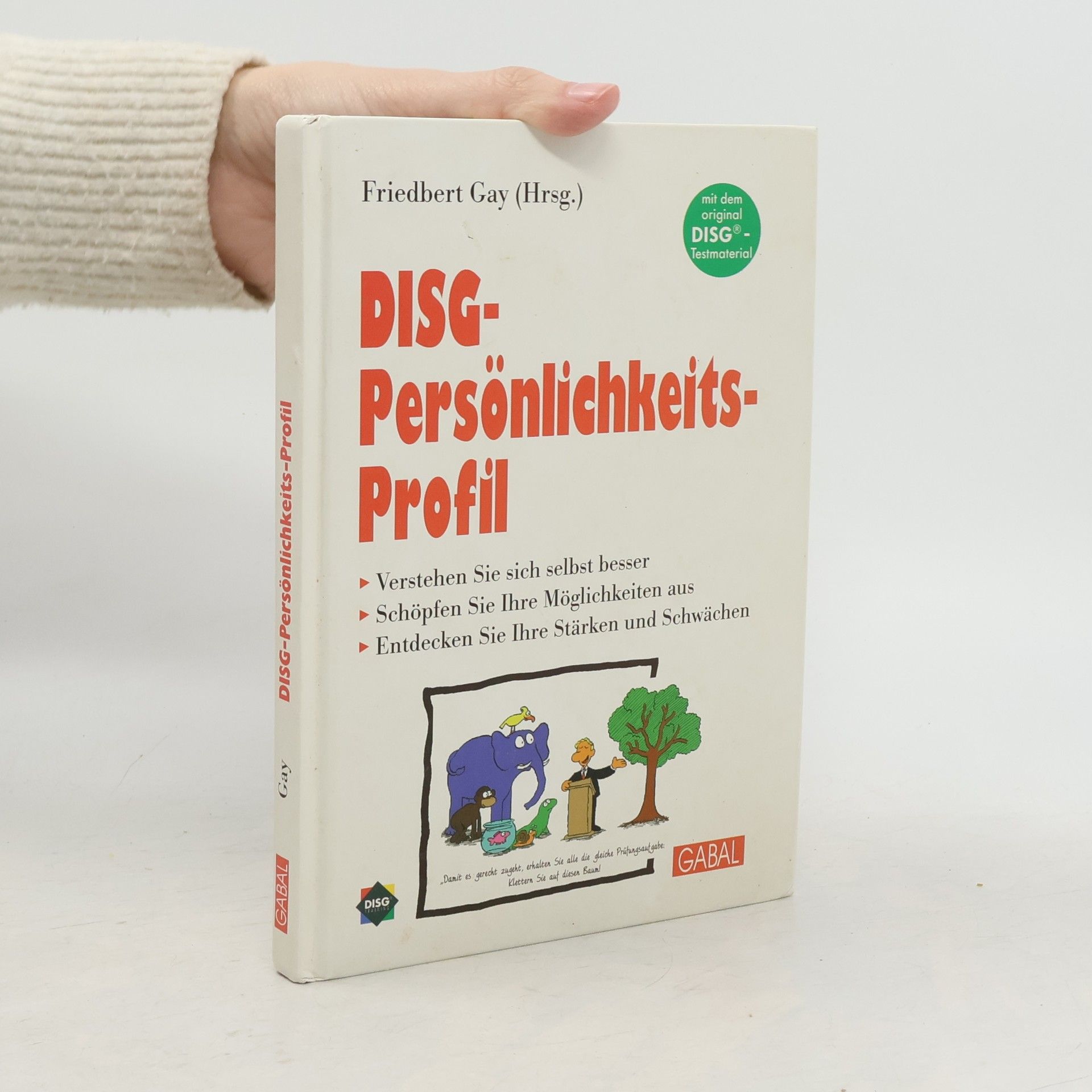 Friedbert Gay DISG-Persönlichkeits-Profil