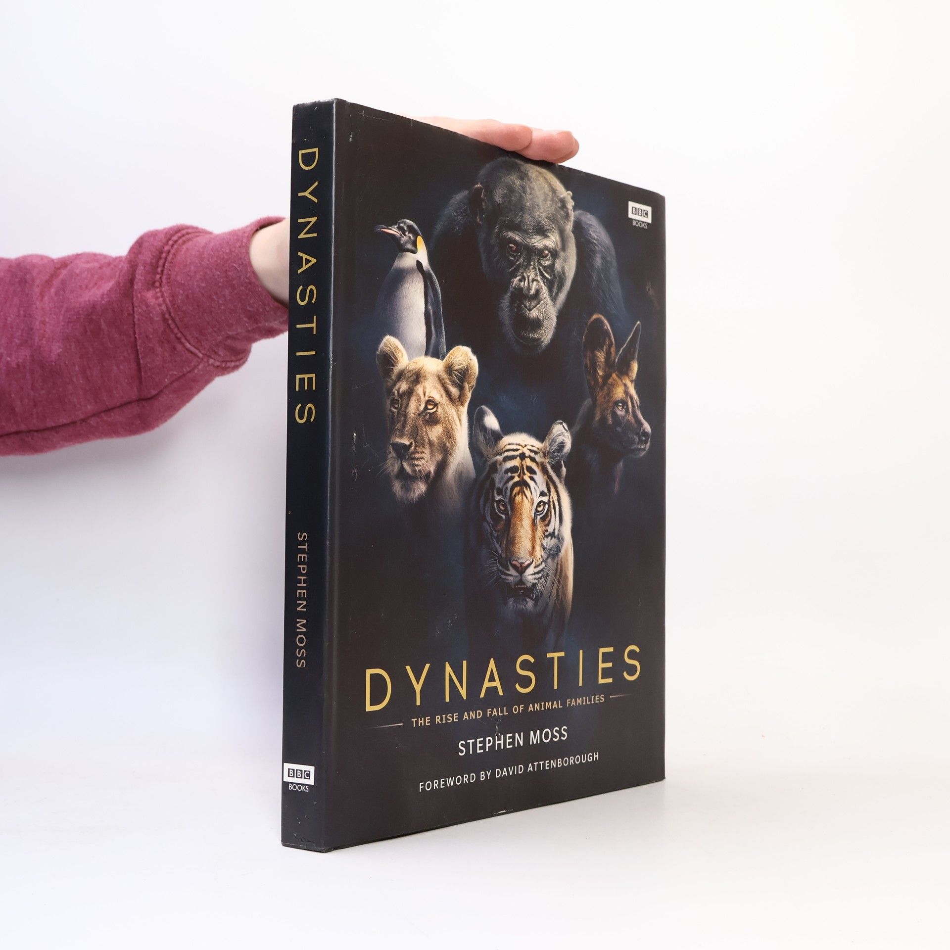 Stephen Moss Dynasties