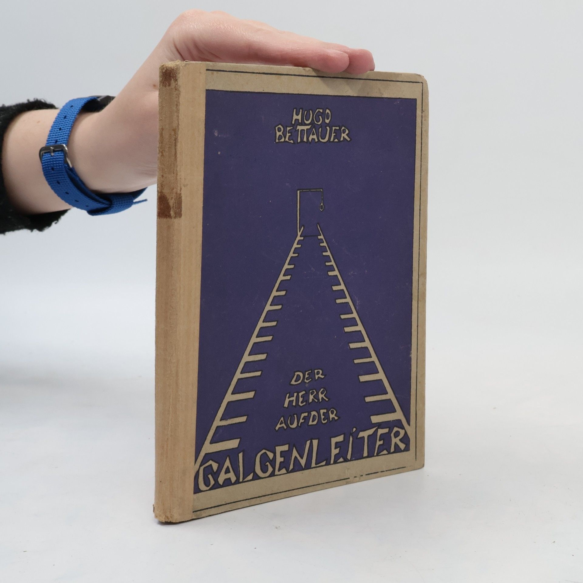 Hugo Bettauer Der Herr auf der Galgenleiter
