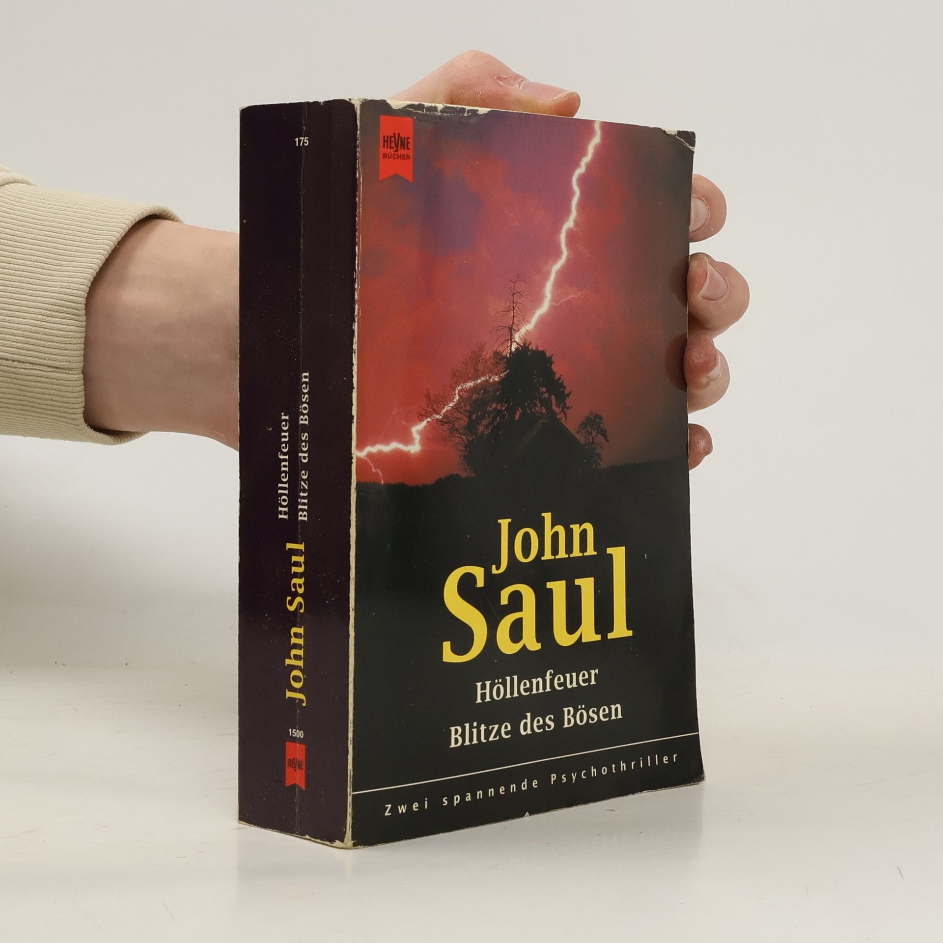 John Saul Höllenfeuer