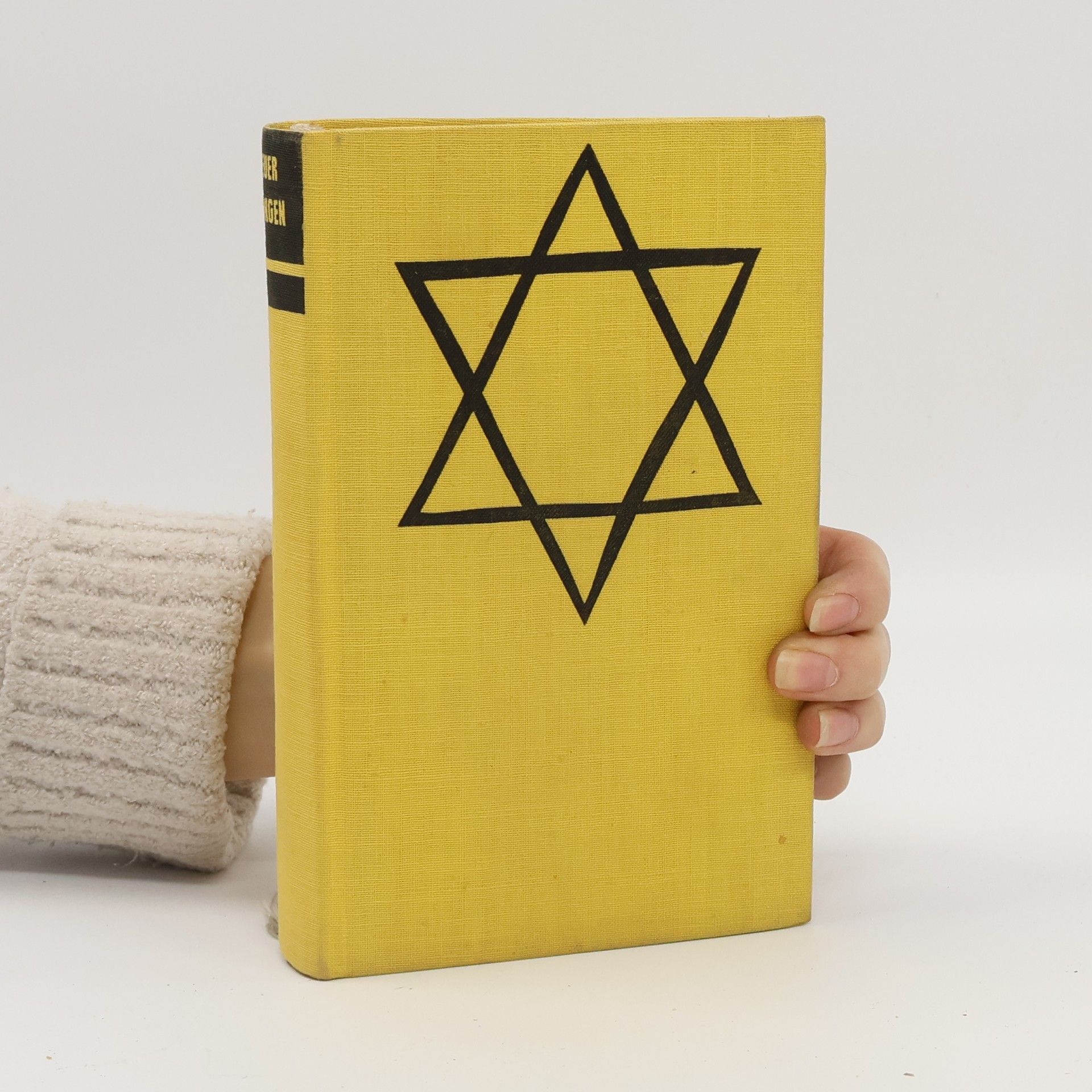 Arnold Zweig Im Feuer vergangen: Tagebücher aus dem Ghetto