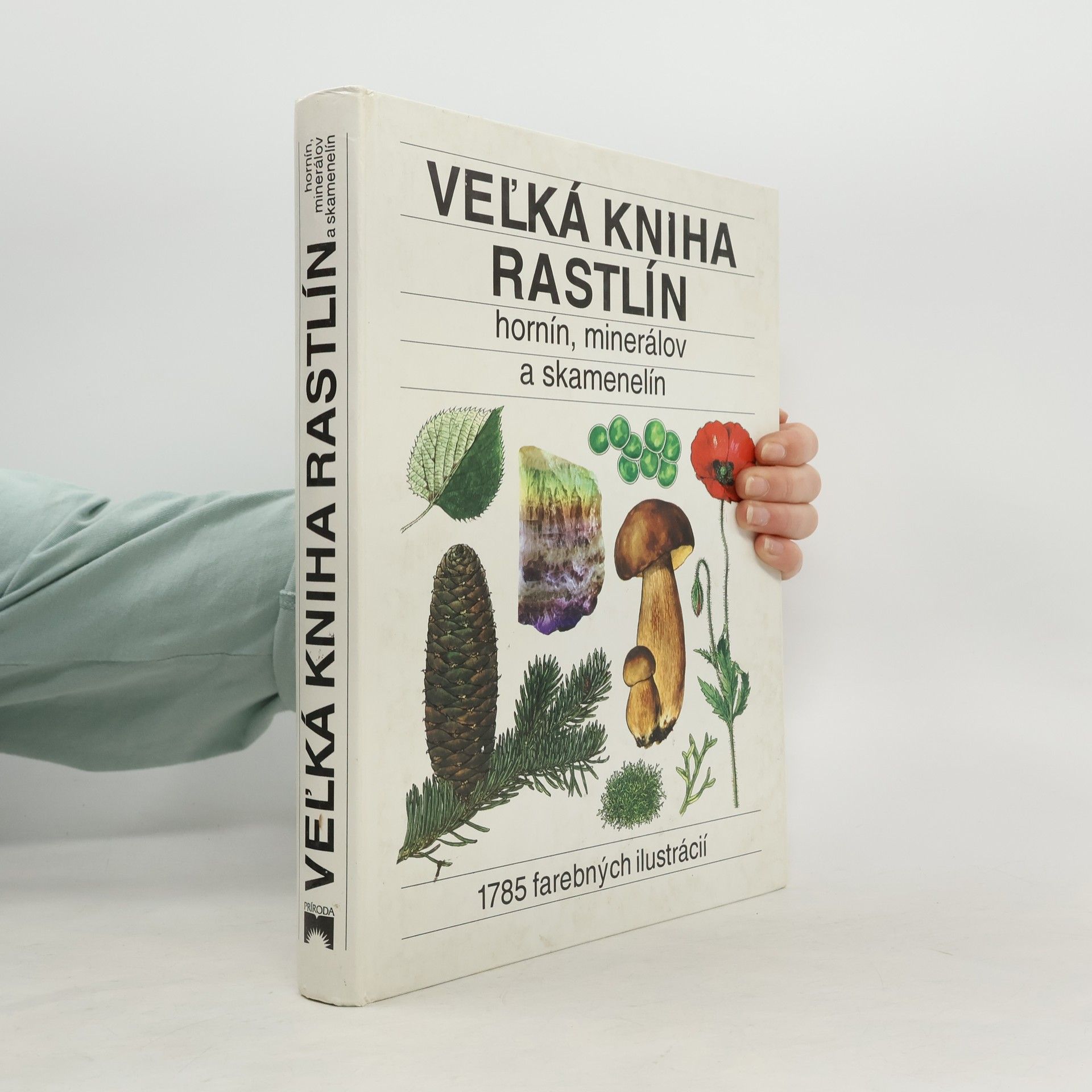 Autorenkollektiv Veĺká kniha rastlín