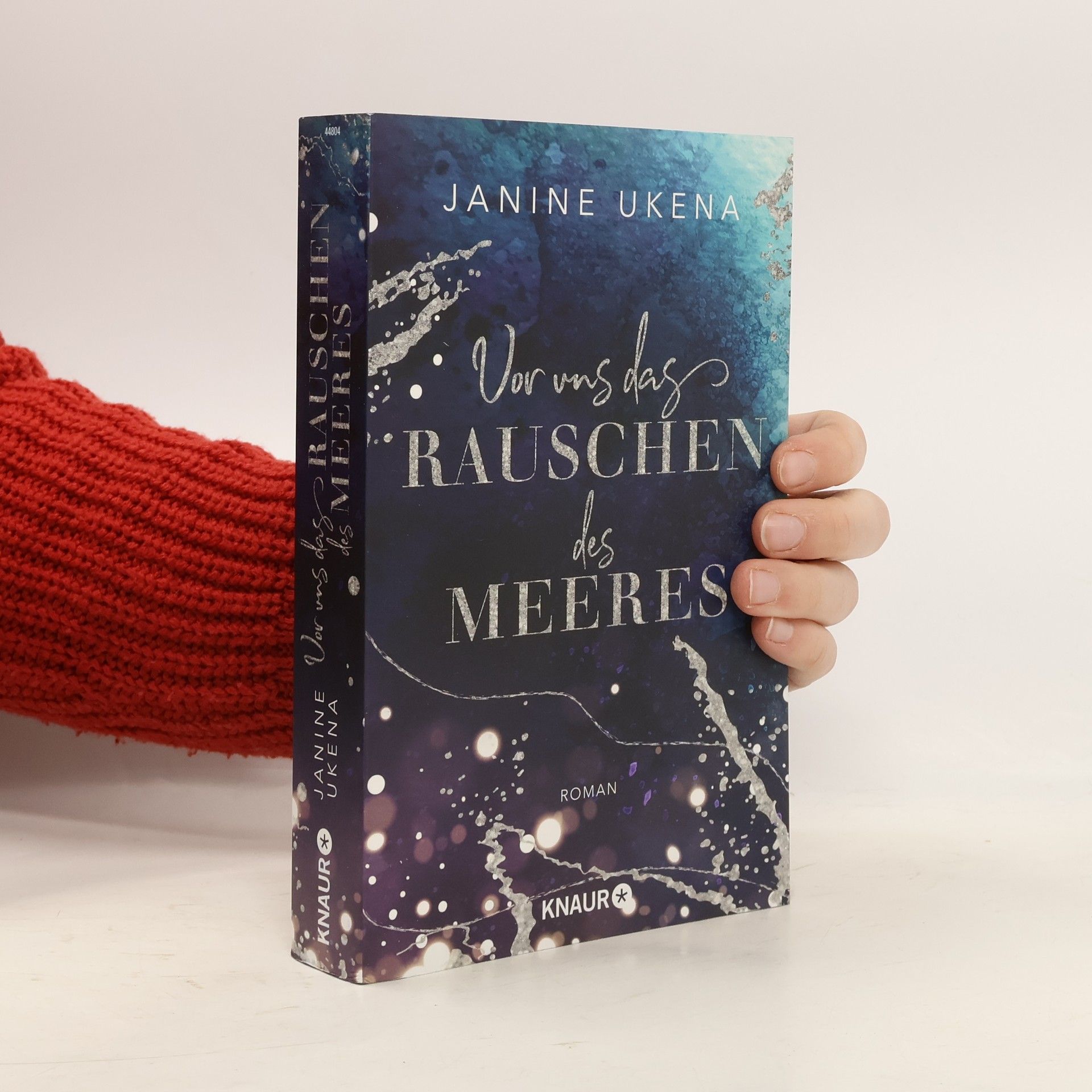 Janine Ukena Vor uns das Rauschen des Meeres