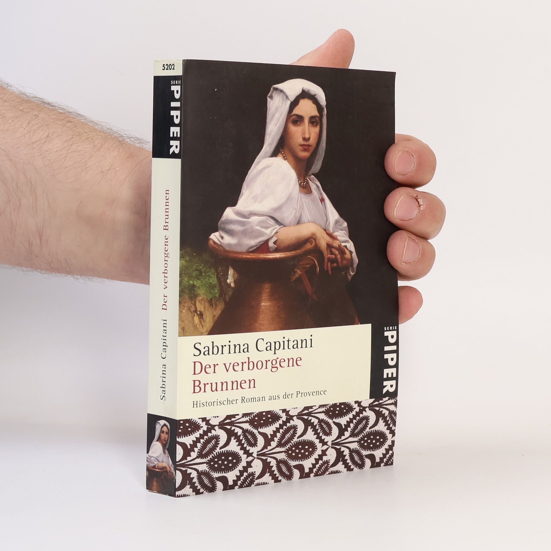 Sabrina Capitani Der verborgene Brunnen