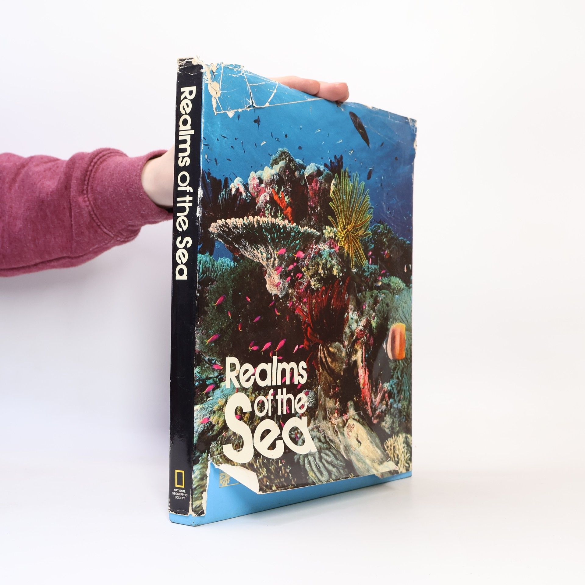 Kolektiv autorů Realms of the Sea