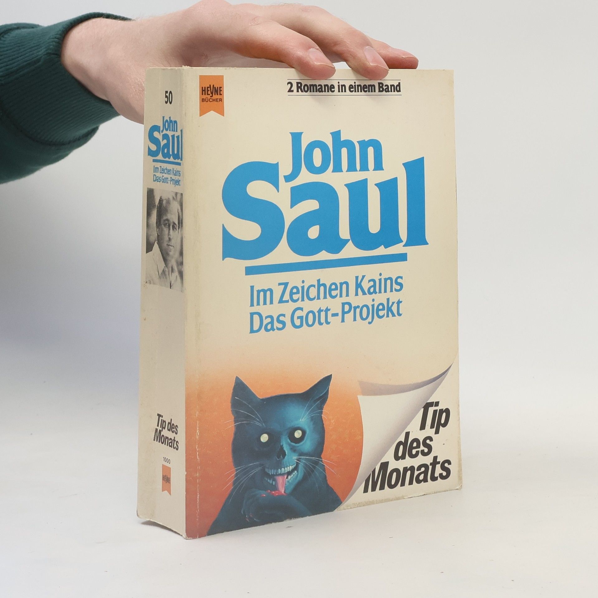 John Saul Im Zeichen Kains