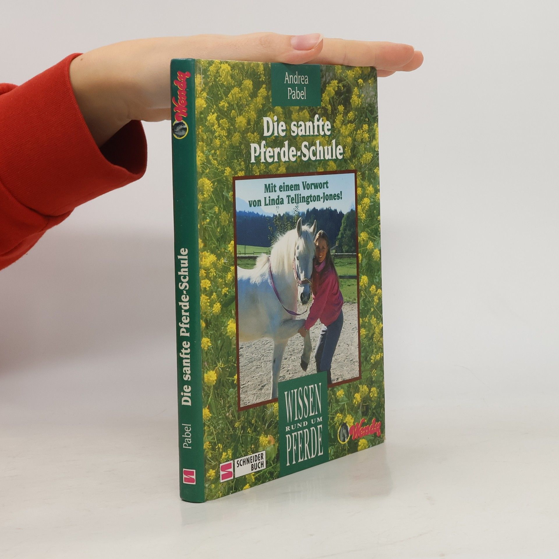 Andrea Pabel Wissen rund um Pferde: Die sanfte Pferde-Schule