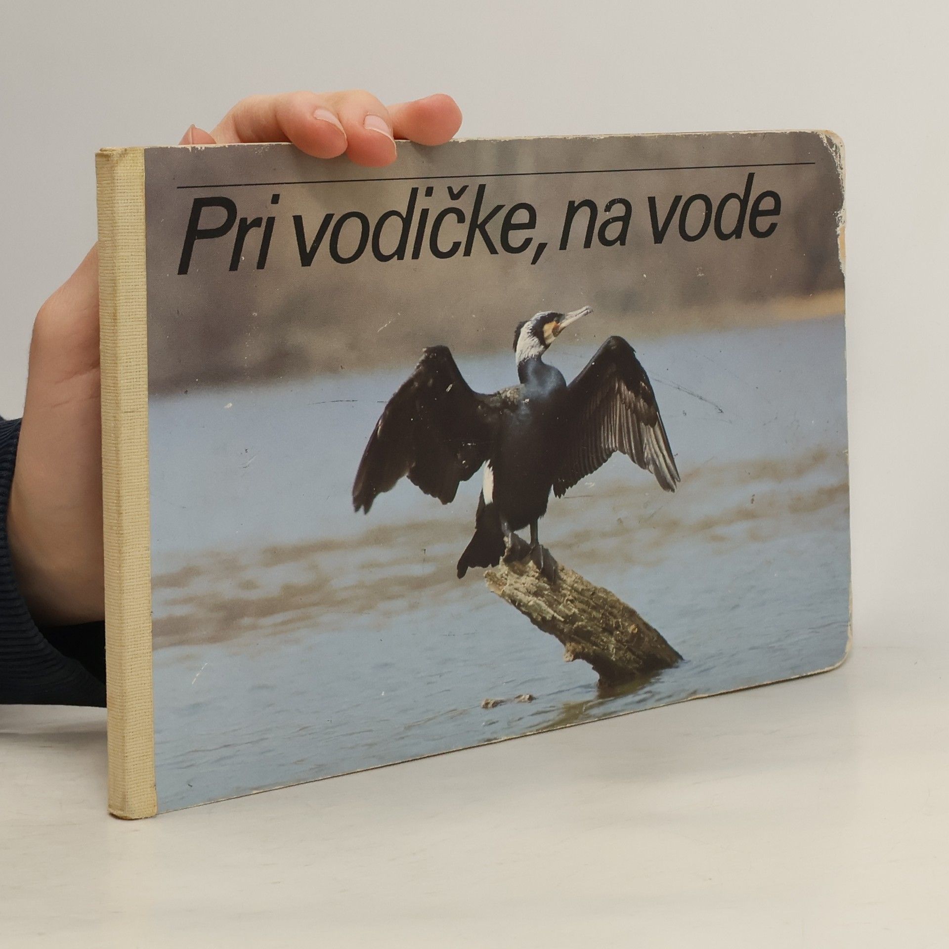 AA.VV. Pri vodičke, na vode