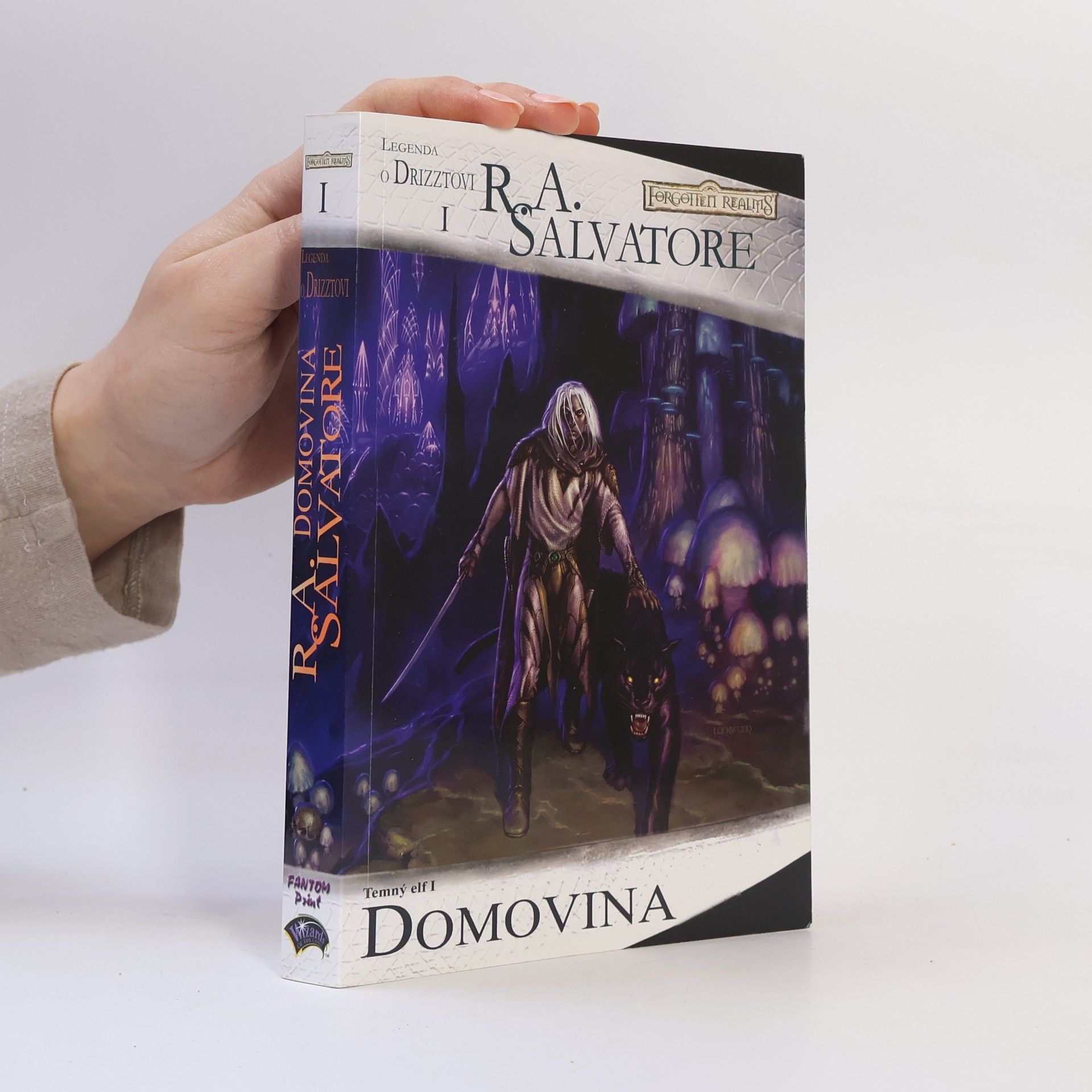 Robert Anthony Salvatore Temný elf I. Domovina