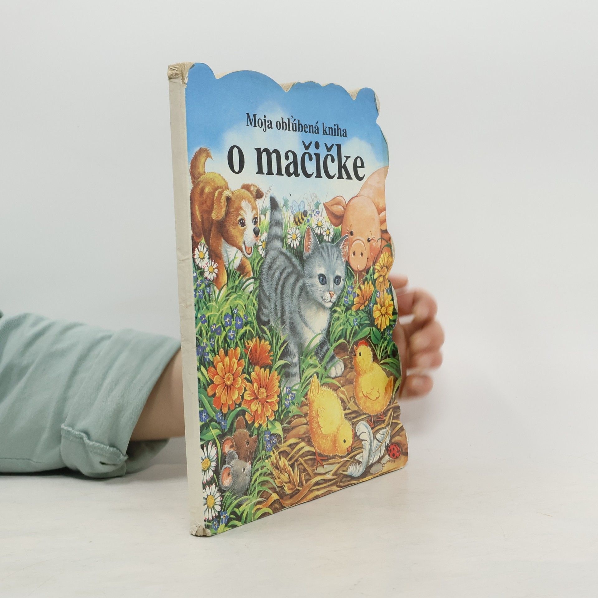 Auteurscollectief Moja obľúbená kniha o mačičke