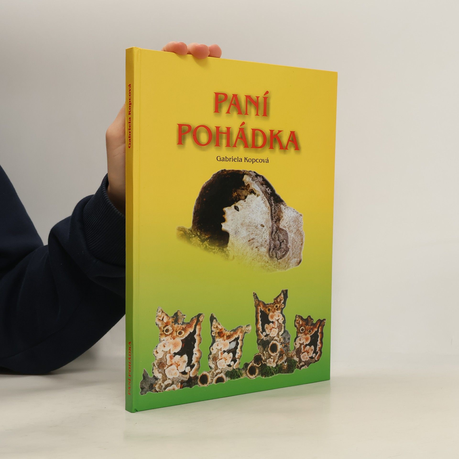 Gabriela Kopcová Paní Pohádka