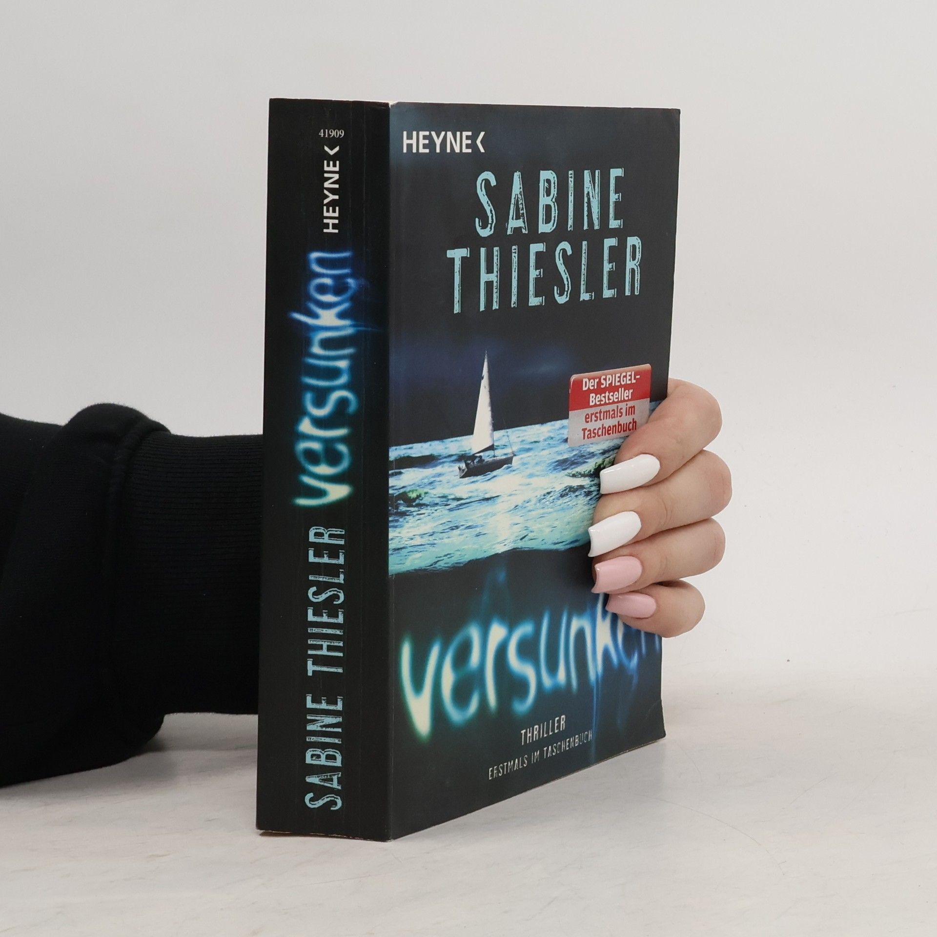 Sabine Thiesler Versunken