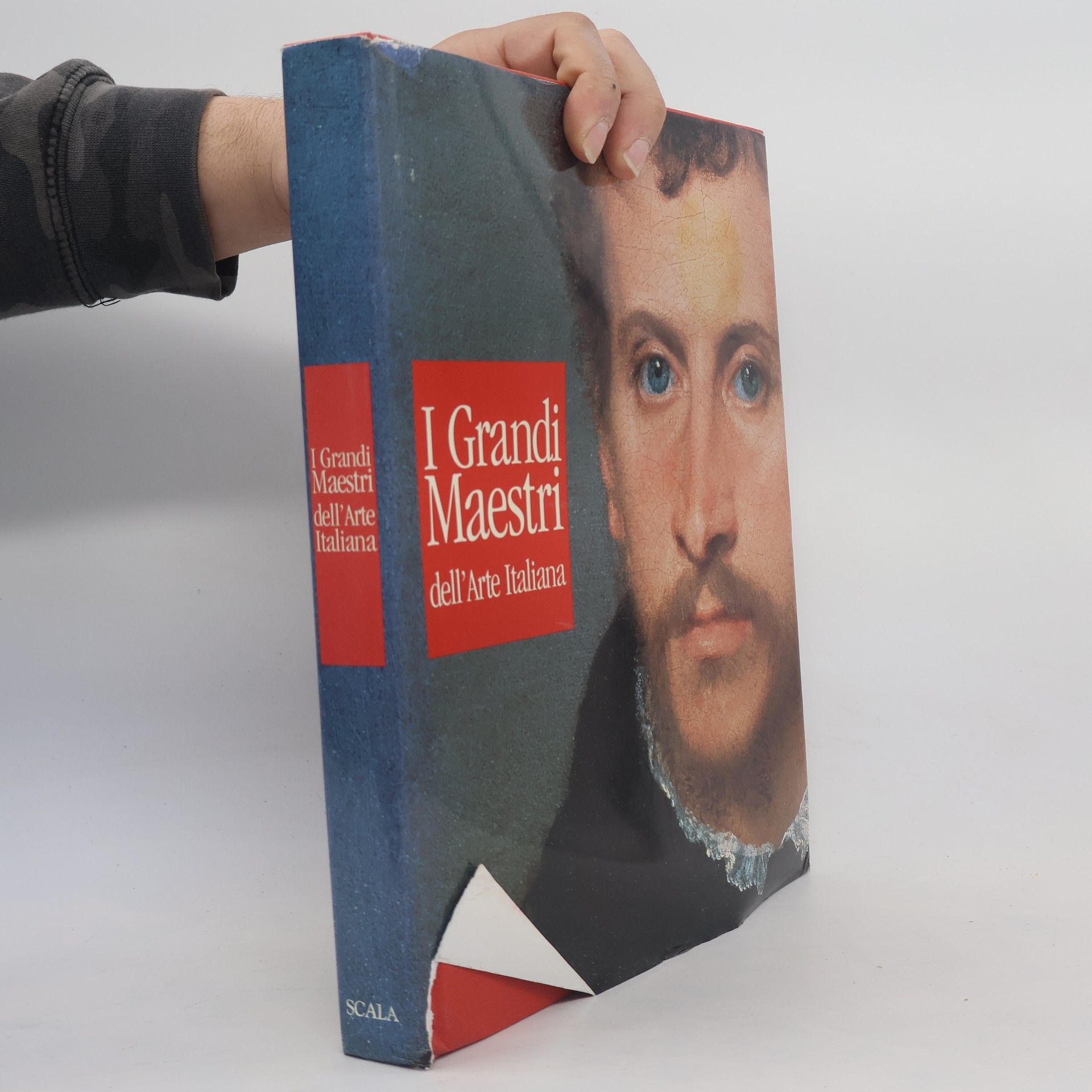 Cristina Acidini I Grandi Maestri dell'Arte Italiana