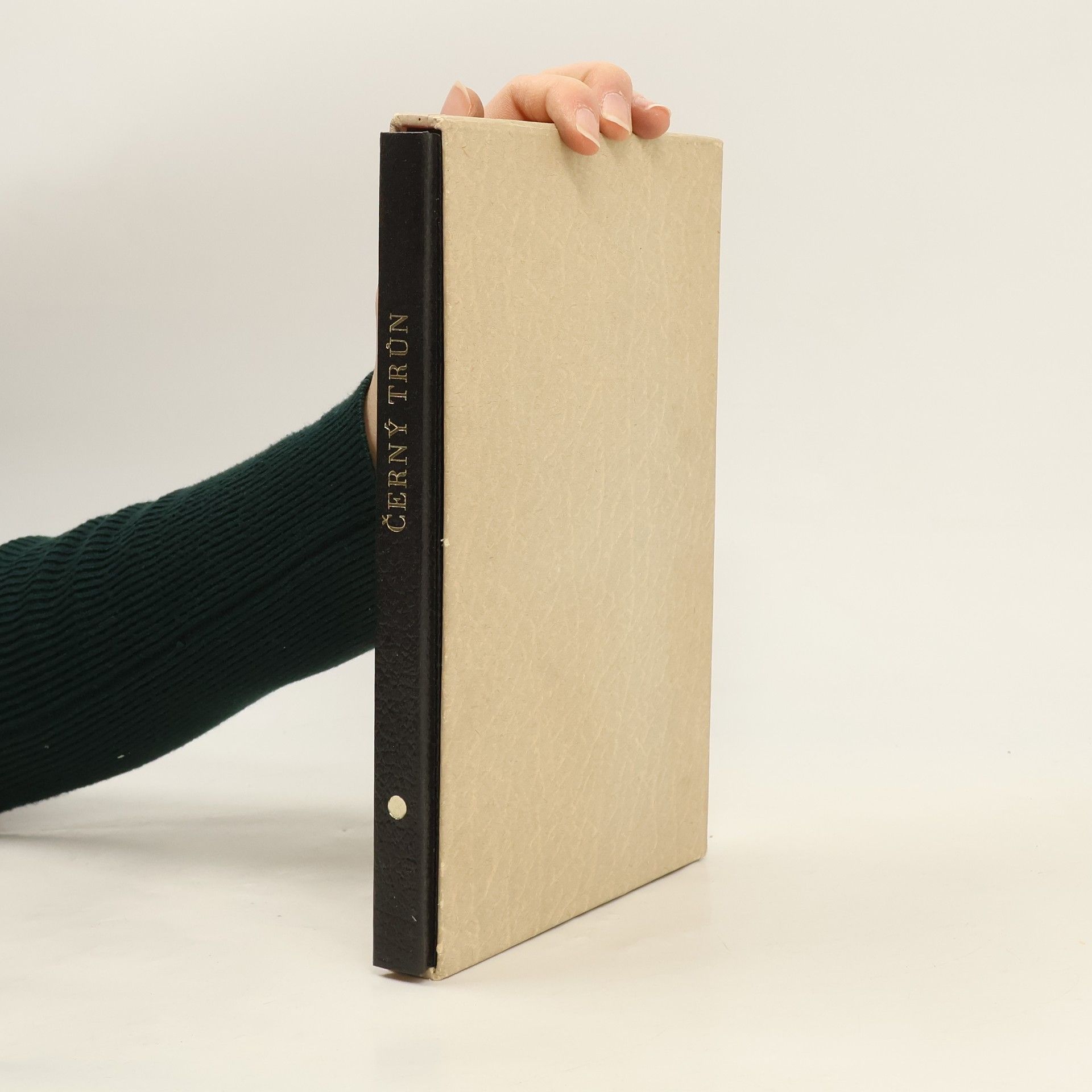 Václav Folprecht Černý trůn. Historie a současnost profesionálního boxu