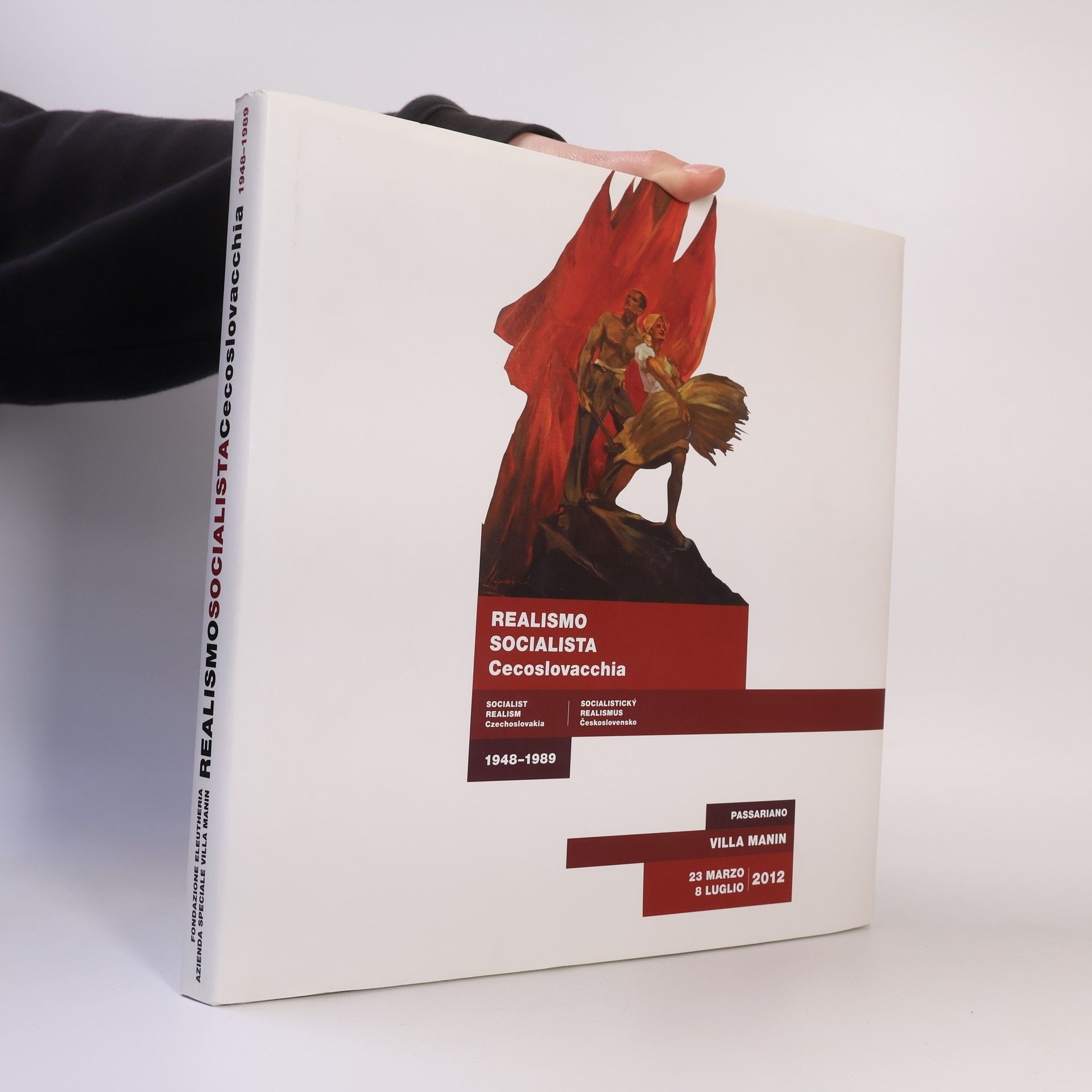 Kolektiv autorů Realismo socialista Cecoslovacchia 1948-1989