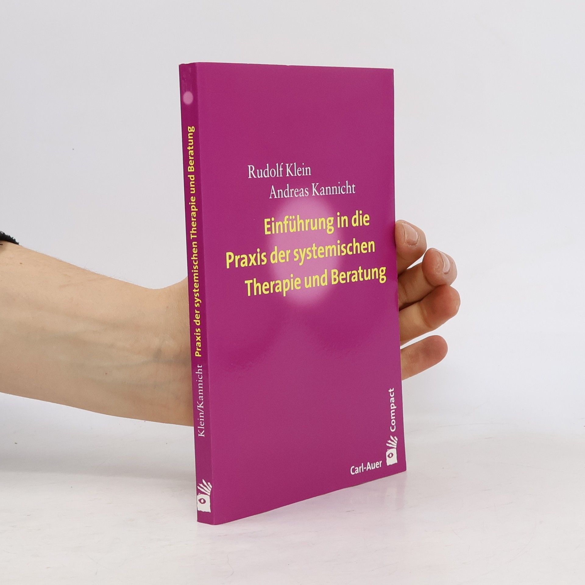 Rudolf Klein Einführung in die Praxis der systemischen Therapie und Beratung