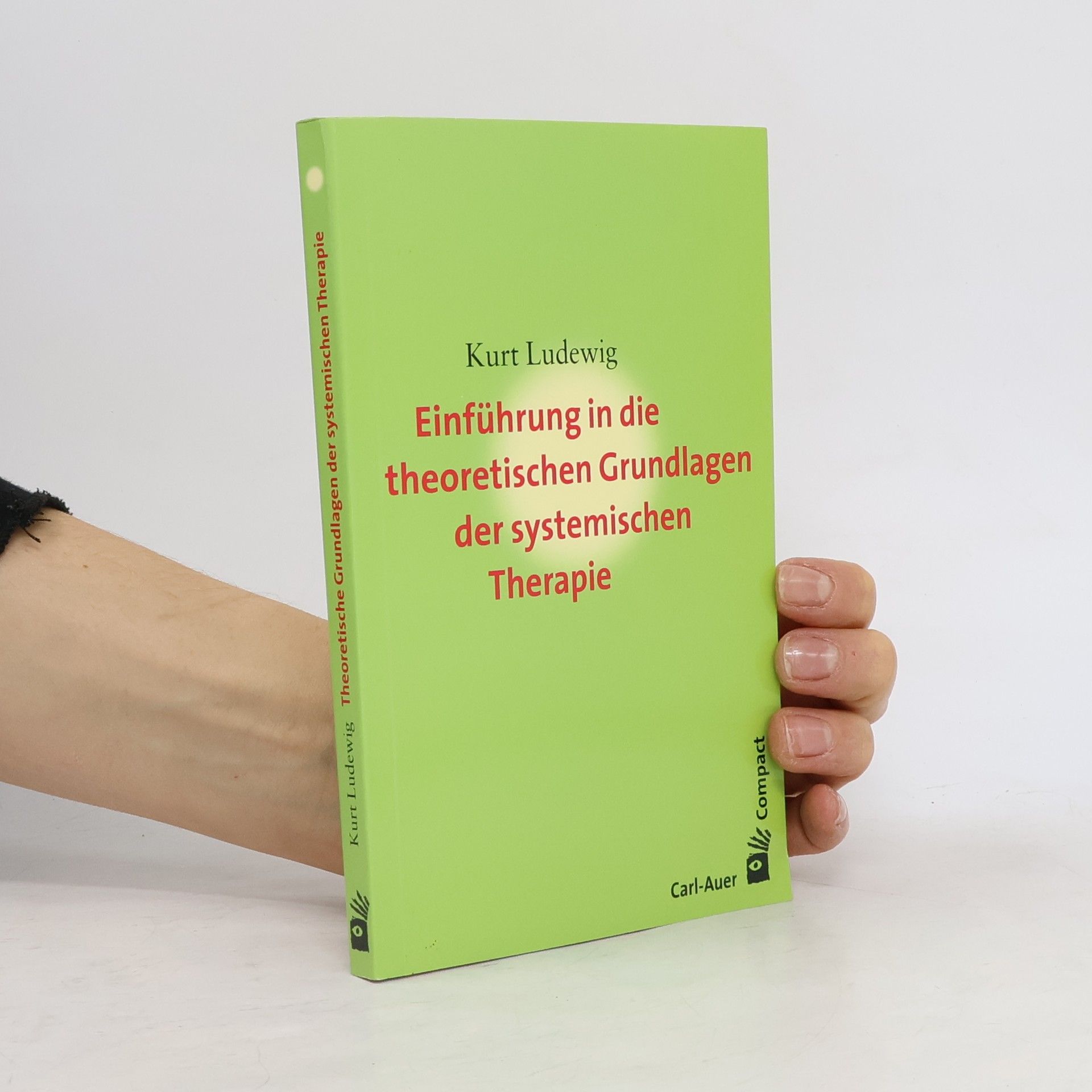 Kurt Ludewig Einführung in die theoretischen Grundlagen der systemischen Therapie