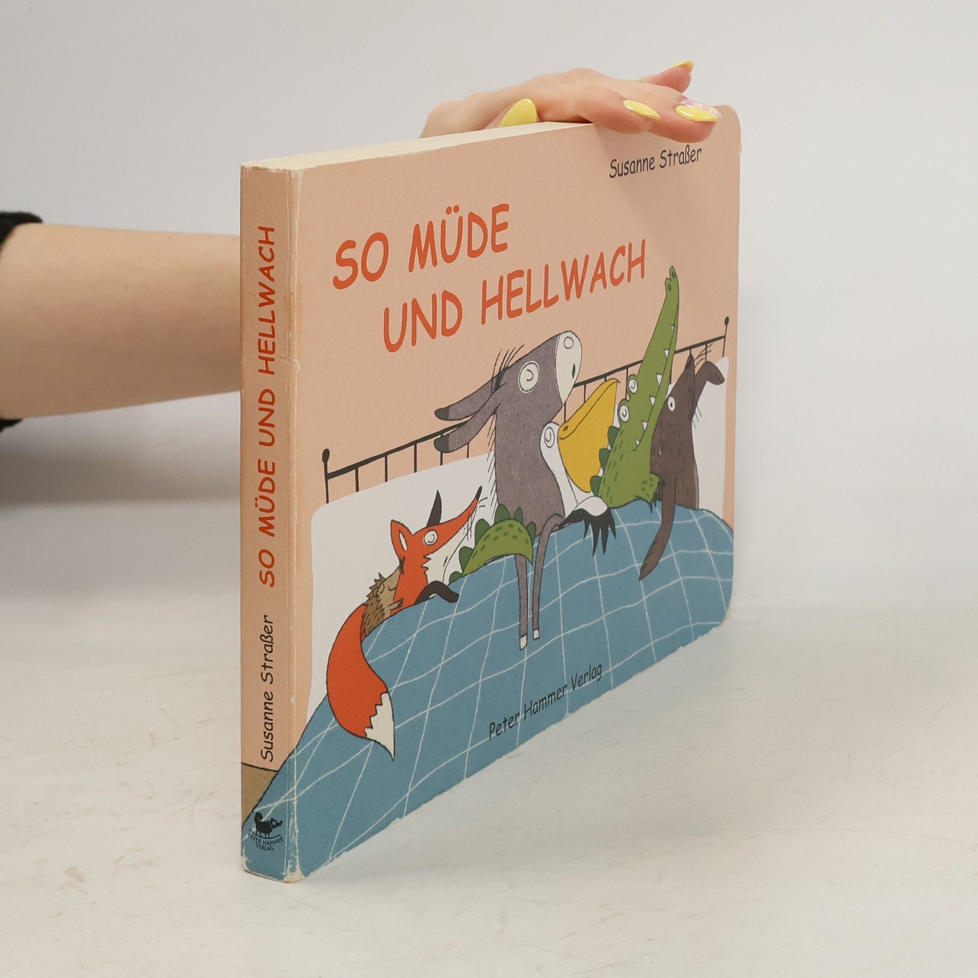 Susanne Straßer So müde und hellwach