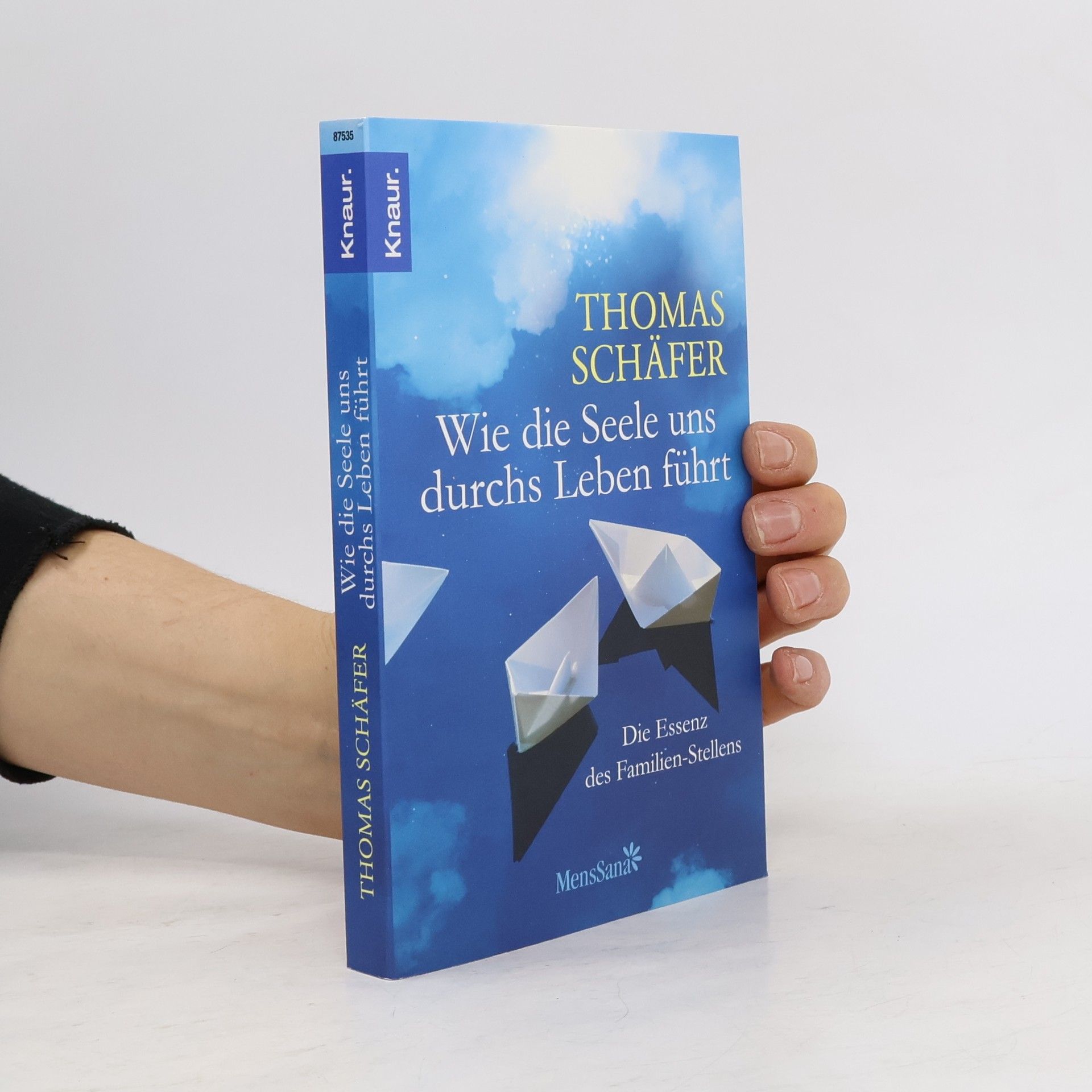 Thomas Schäfer Wie die Seele uns durchs Leben führt