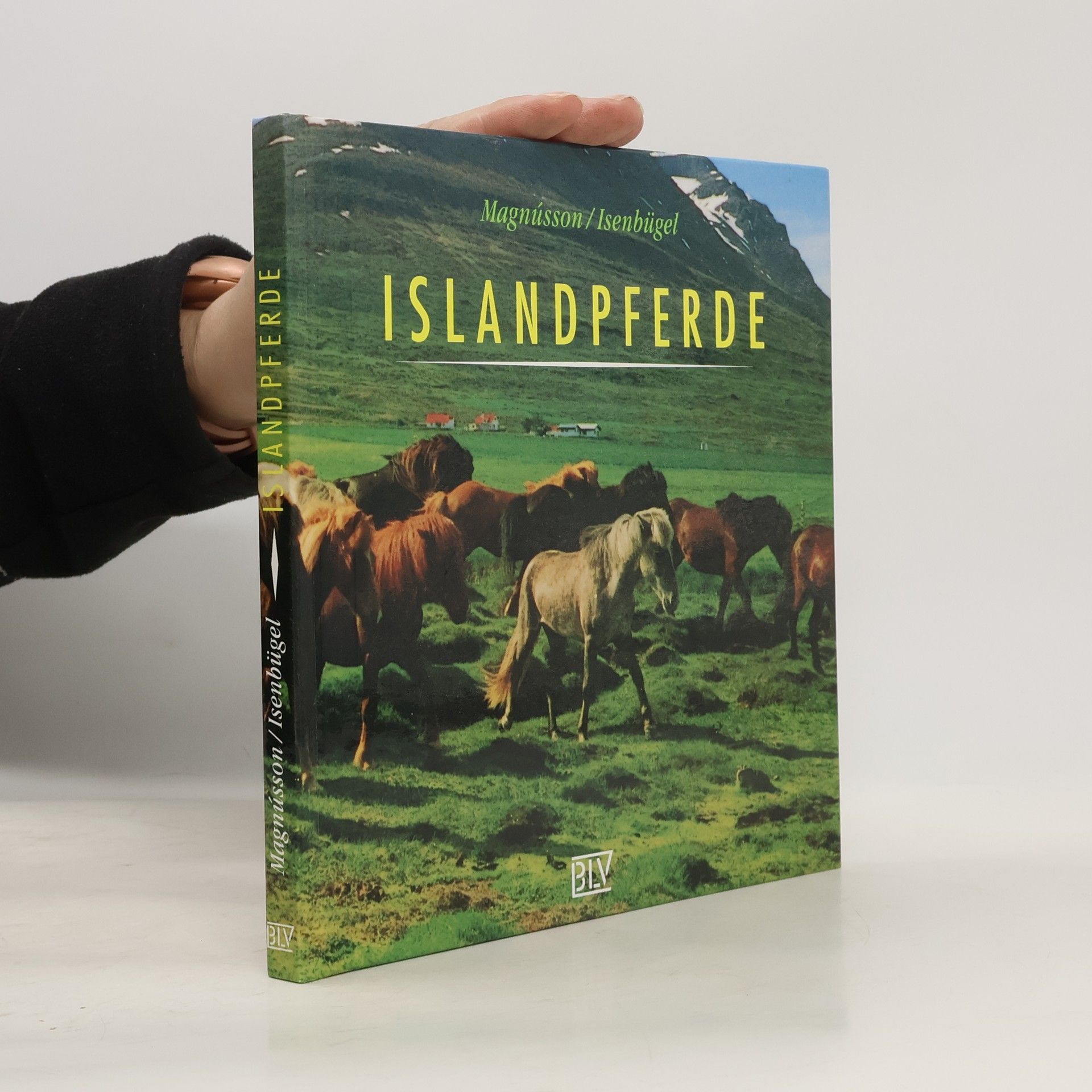 Sigurdur A. Magnússon Islandpferde