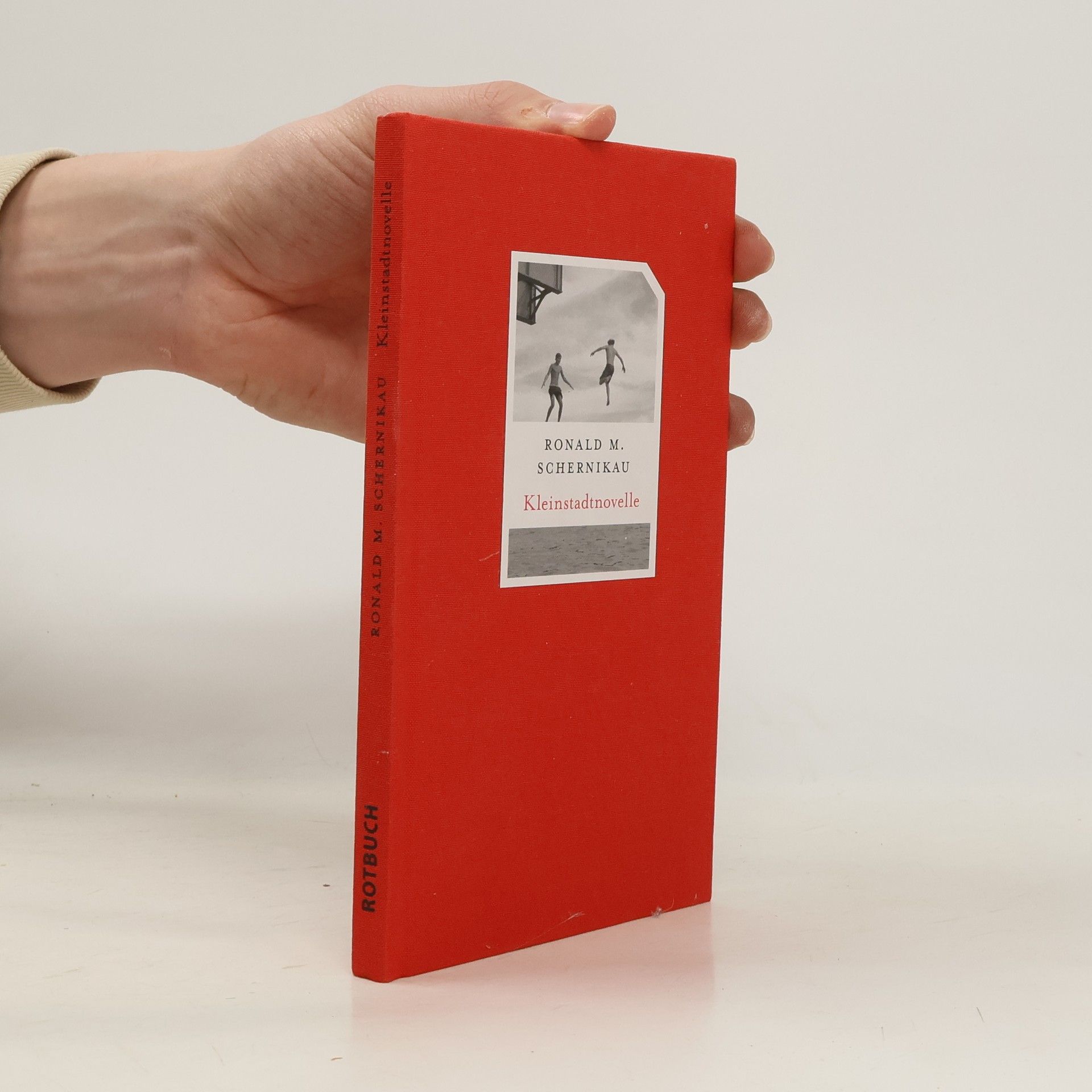 Ronald M. Schernikau Kleinstadtnovelle