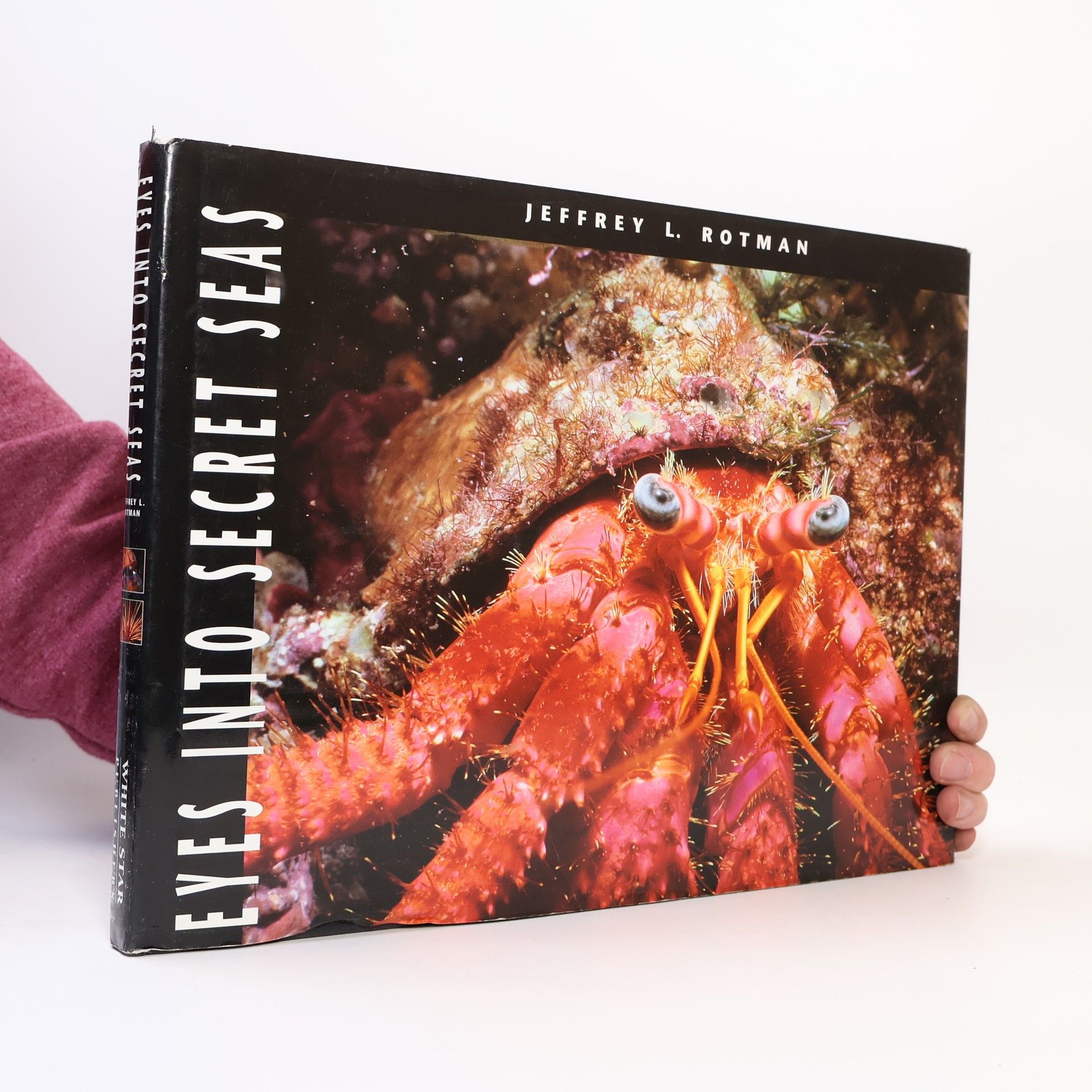 Jeffrey L. Rotman Eyes Into Secret Seas