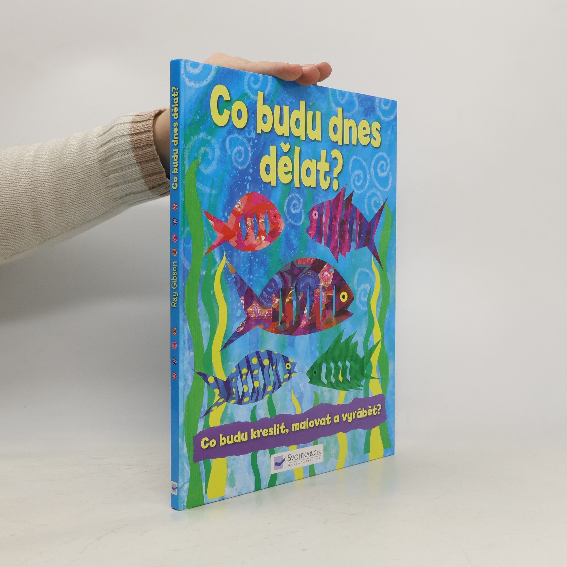 Ray Gibson Co budu dnes dělat?