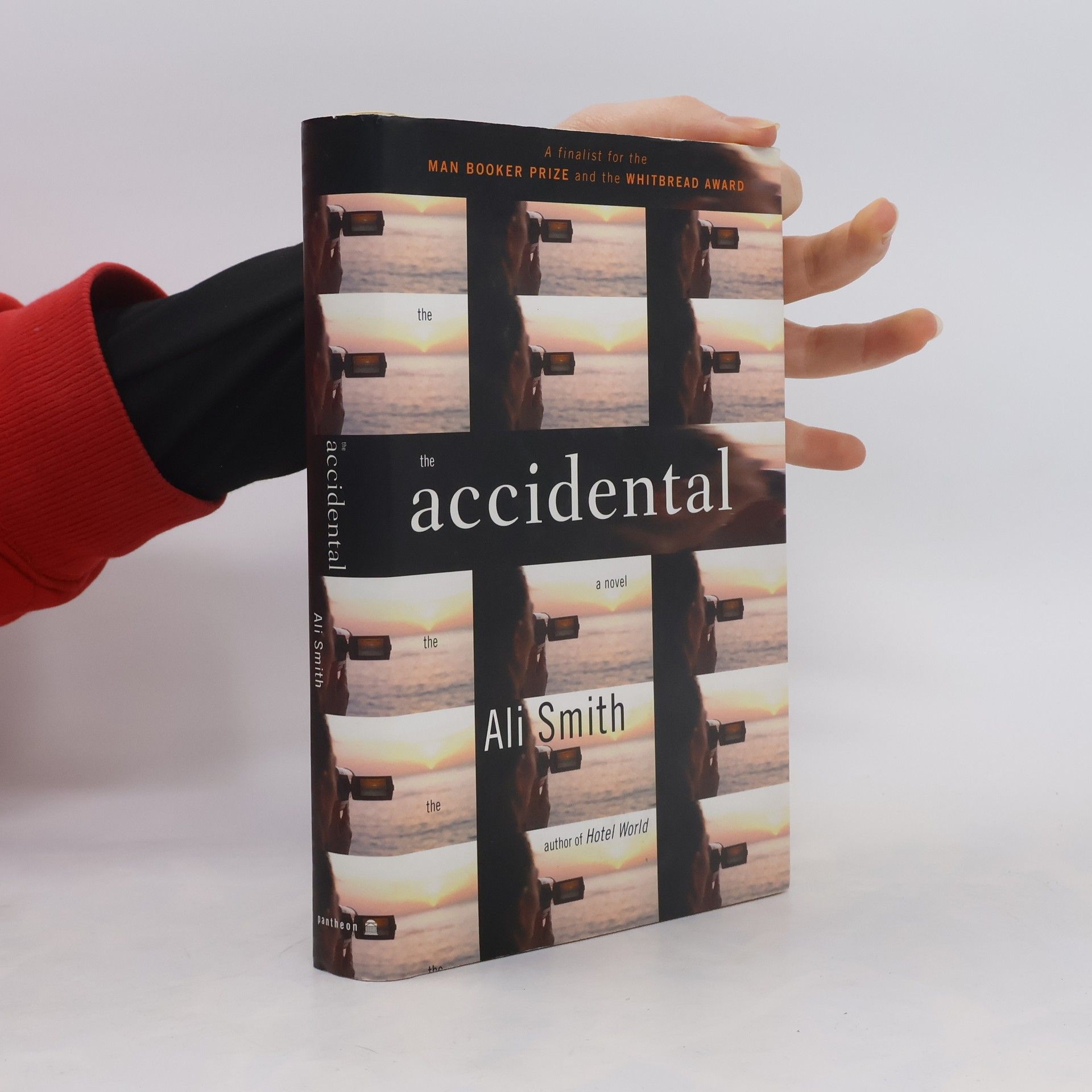 Ali Smith The Accidental