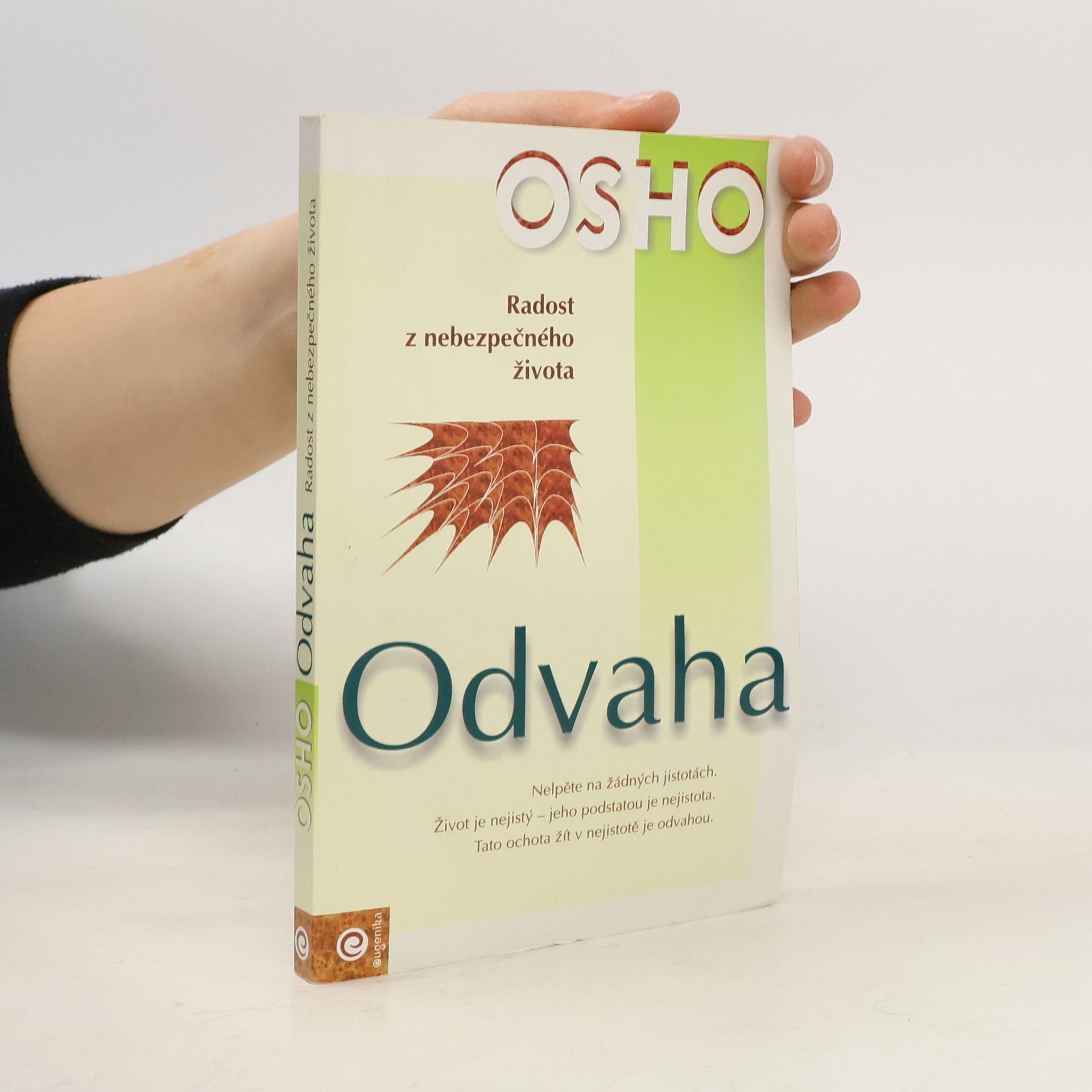 Odvaha. Radost z nebezpečného života