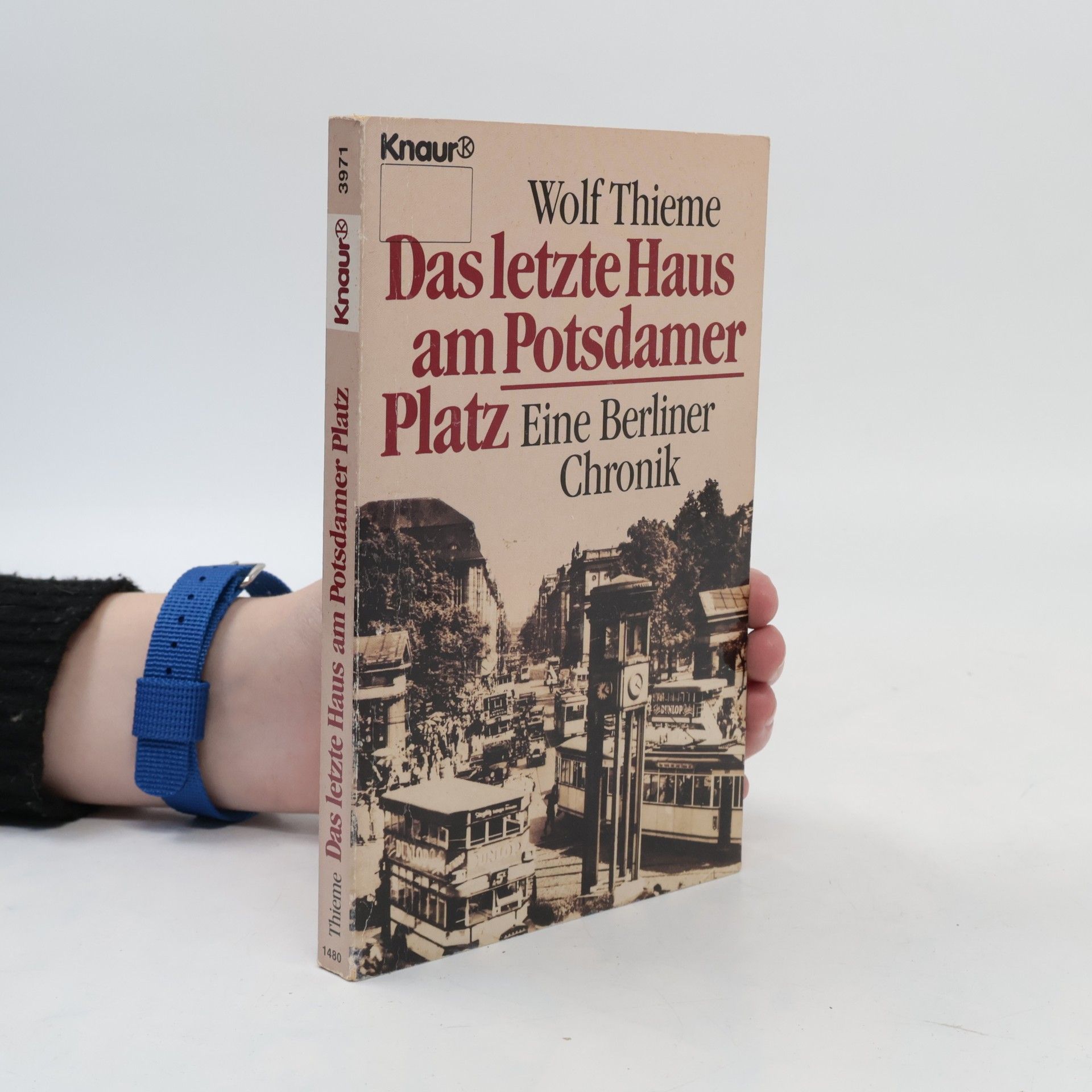 Wolf Thieme Das letzte Haus am Potsdamer Platz